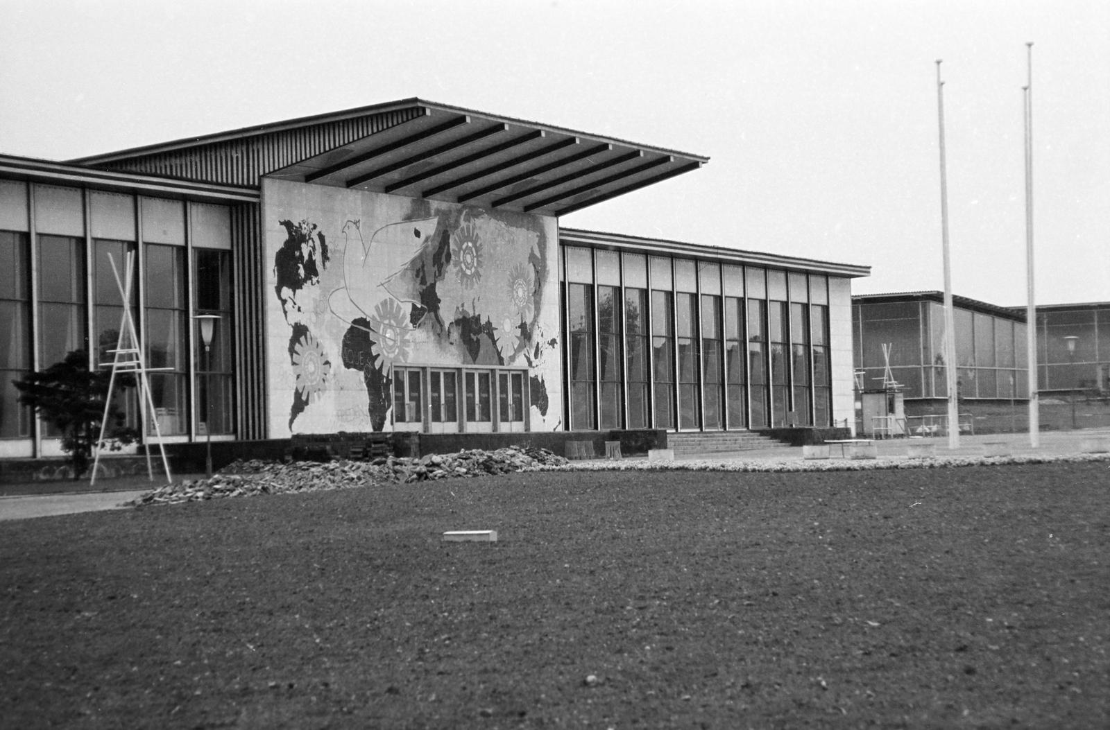 1964, Villányi Gergely, Fortepan #313357