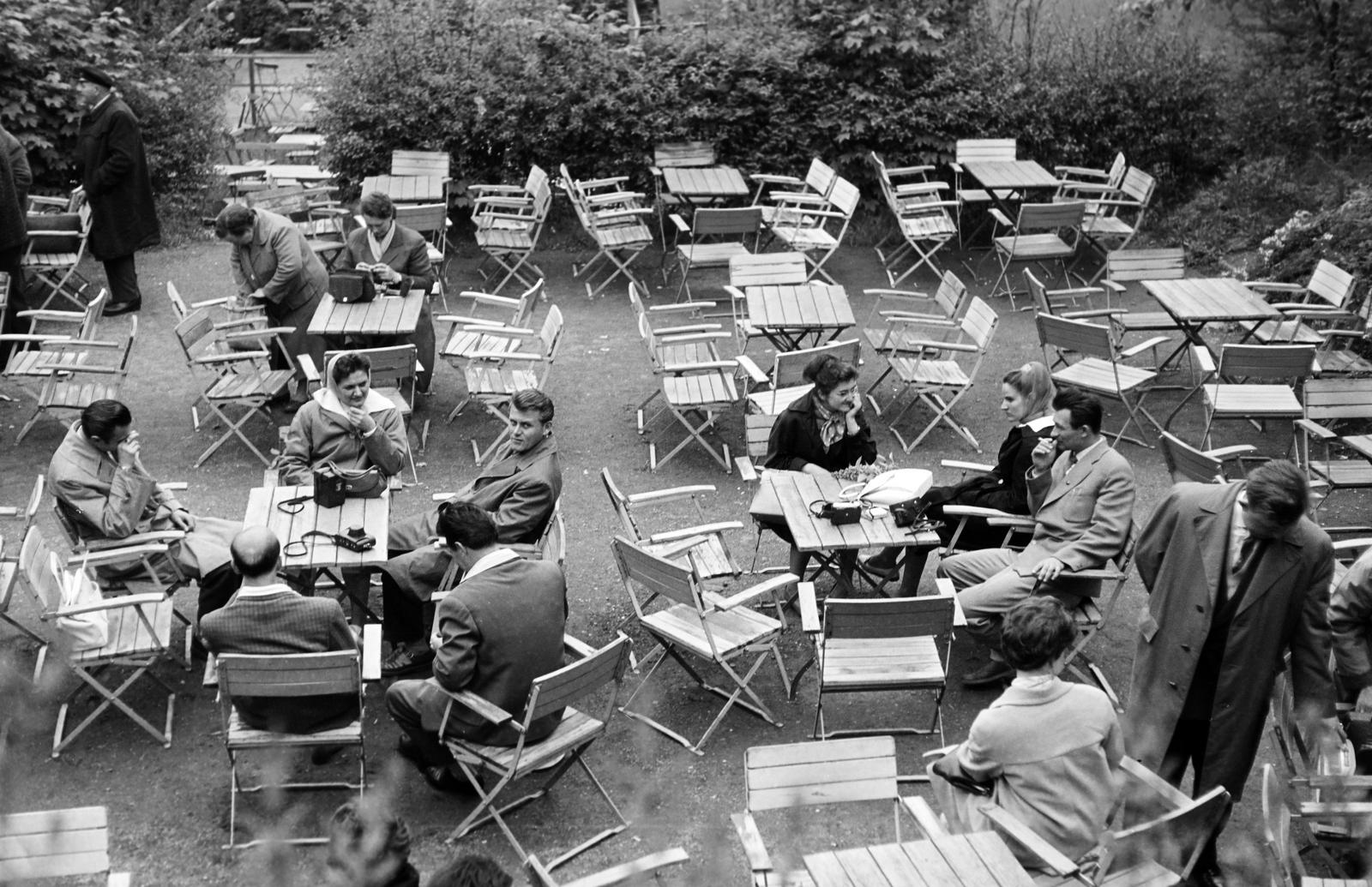 1964, Villányi Gergely, Fortepan #313359