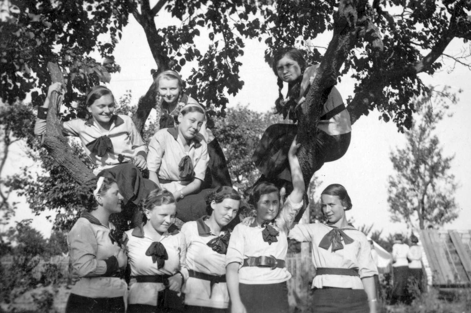 Hungary, Székesfehérvár, Ferenc József Nőnevelő Intézet tanulói., 1935, Székely Márton, school, girl, school uniform, sitting on a tree, Fortepan #31383