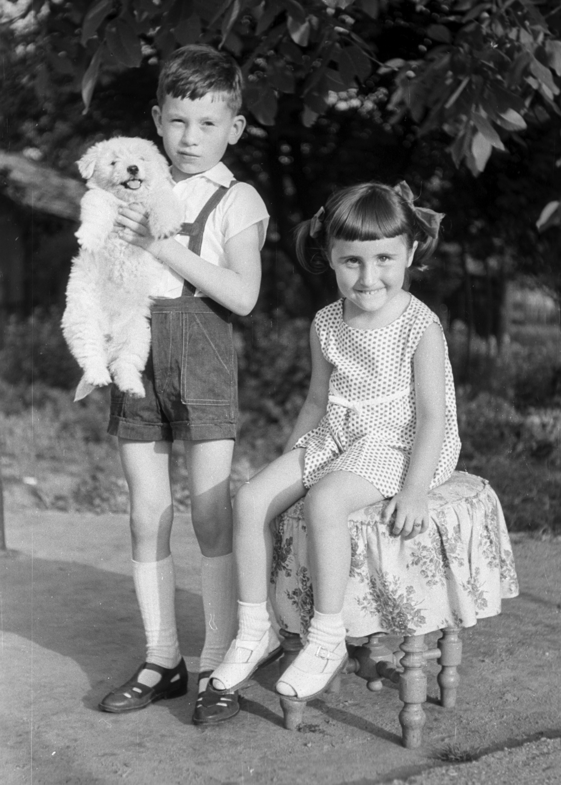 1964, Pálinkás Zsolt, dog, garden, summer, kids, boy, girl, double portrait, hold in arms, Fortepan #31496