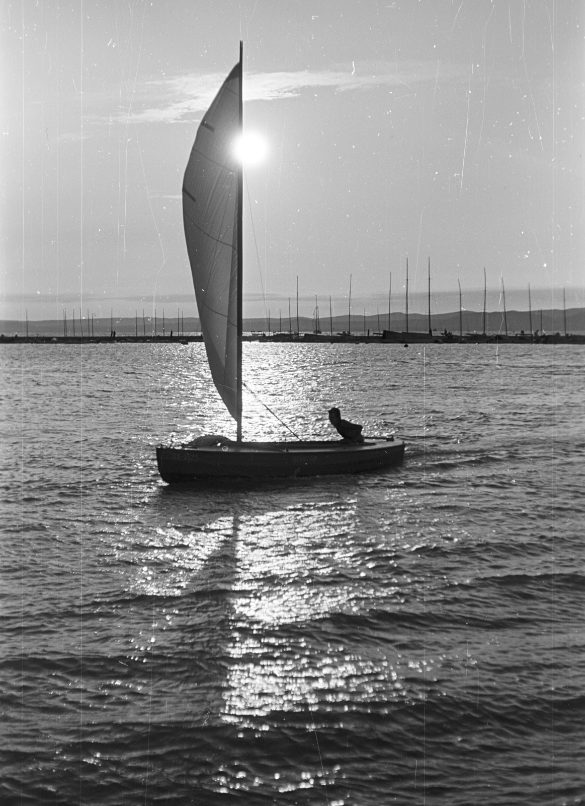 Hungary,Lake Balaton, Siófok, vitorláskikötő., 1965, Pálinkás Zsolt, sailboat, sunshine, lake, water surface, Fortepan #31586