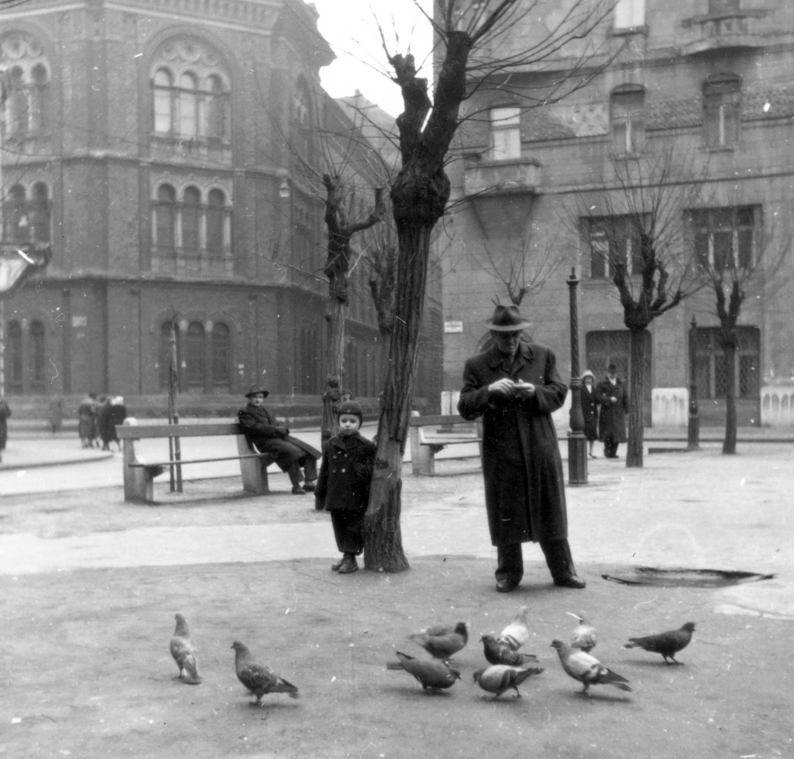 Hungary, Budapest VIII., Gutenberg tér, a háttérben a Bérkocsis utca torkolata., 1959, Bartók István, street furniture, genre painting, bird, bench, kid, dove, Budapest, Fortepan #31644