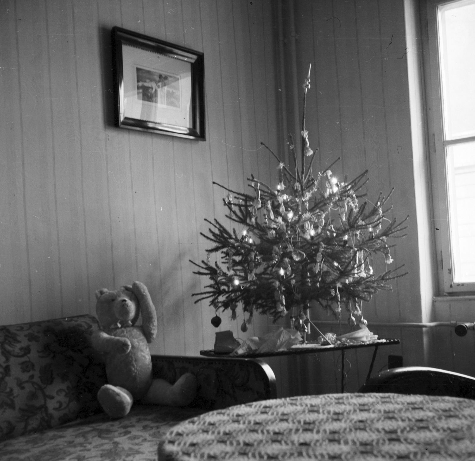 1961, Beyer Norbert, Christmas, christmas tree, Christmas candy, interior, teddy bear, Fortepan #31674