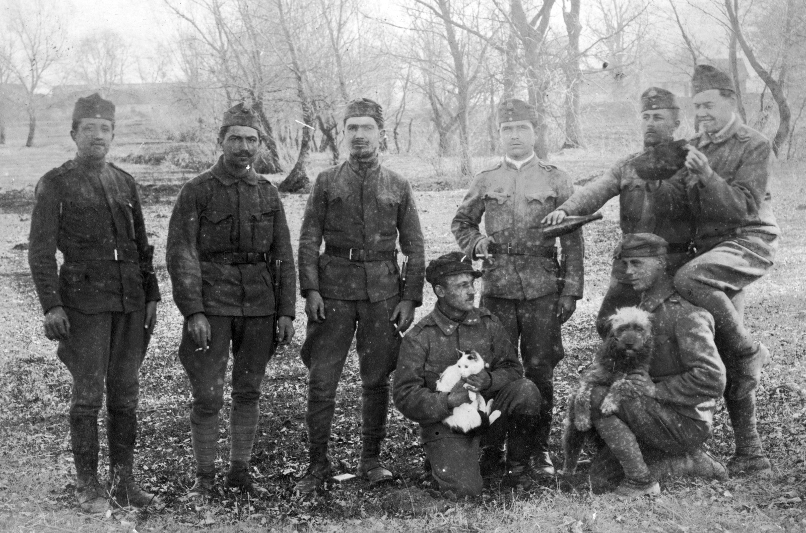 1921, Székely Márton, dog, smoking, uniform, cat, tableau, men, military, fun, soldier, Fortepan #31894