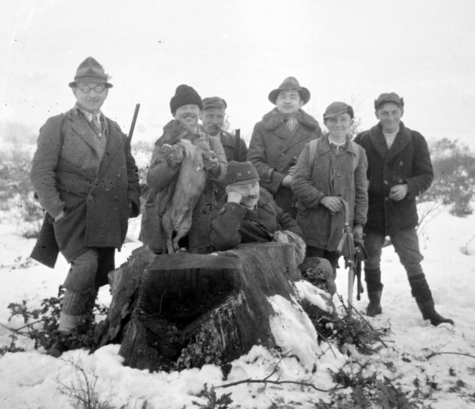 1935, Fortepan, winter, snow, dog, tableau, hunting, fun, Dachshund, tree stump, prop up the head, Fortepan #32013