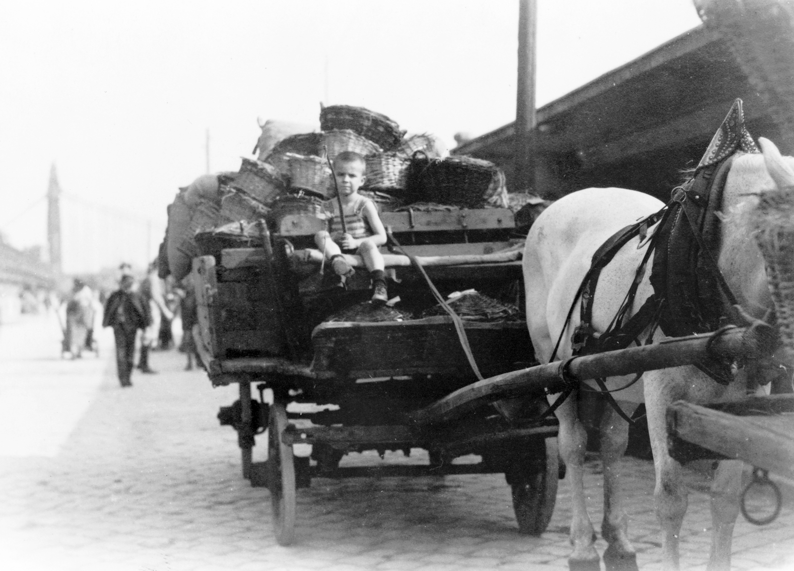 Hungary, Budapest V., pesti alsó rakpart, háttérben az Erzsébet híd., 1923, Library of Congress, horse, Horse-drawn carriage, basket, whip, Budapest, Fortepan #32072