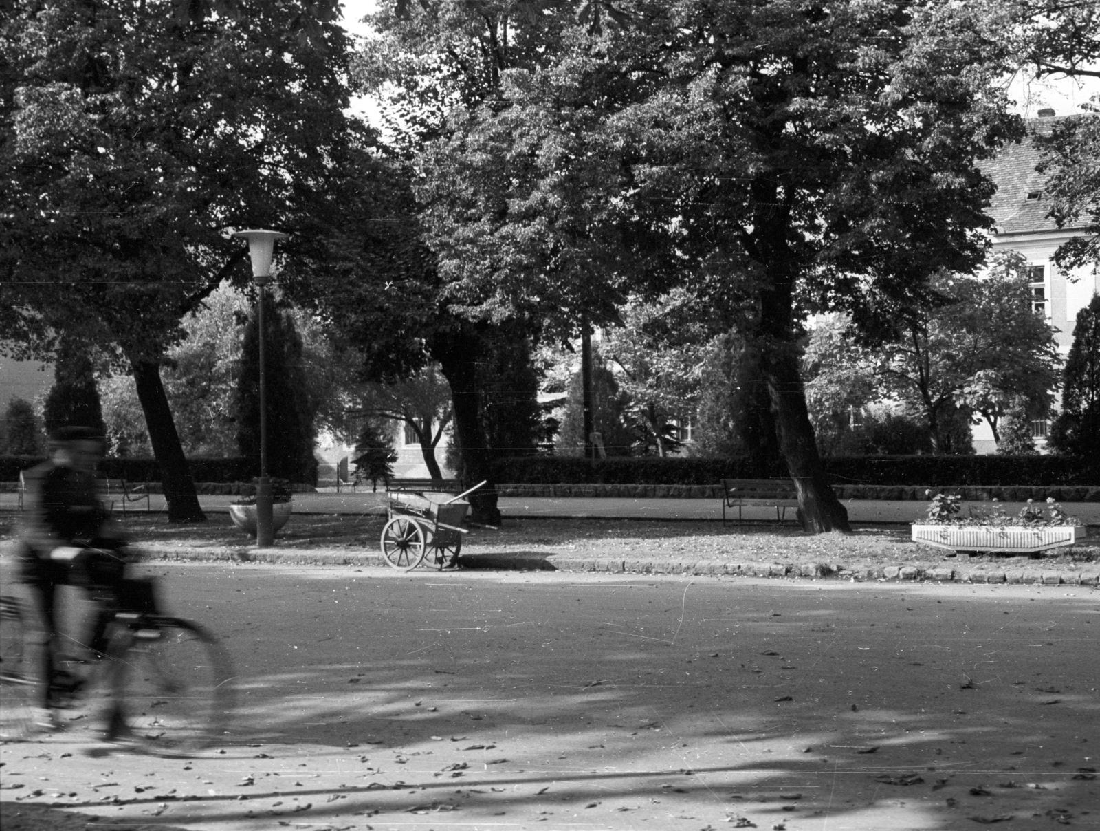 Hungary, Kőszeg, Várkör (Béke út). Háttérben a fák mögött a Béri Balogh Ádám Általános Iskola (egykor Kelcz-Adelffy konvertita árvaház), 1965, Építésügyi Dokumentációs és Információs Központ, VÁTI, bicycle, Fortepan #32266