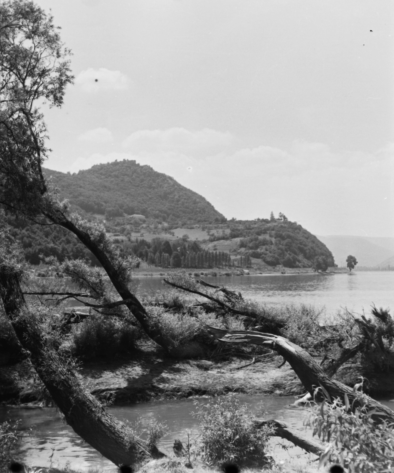 Magyarország,Dunakanyar,Szentendrei-sziget, Kisoroszi, Duna-part, szemben a visegrádi fellegvár., 1968, Építésügyi Dokumentációs és Információs Központ, VÁTI, Fortepan #32385