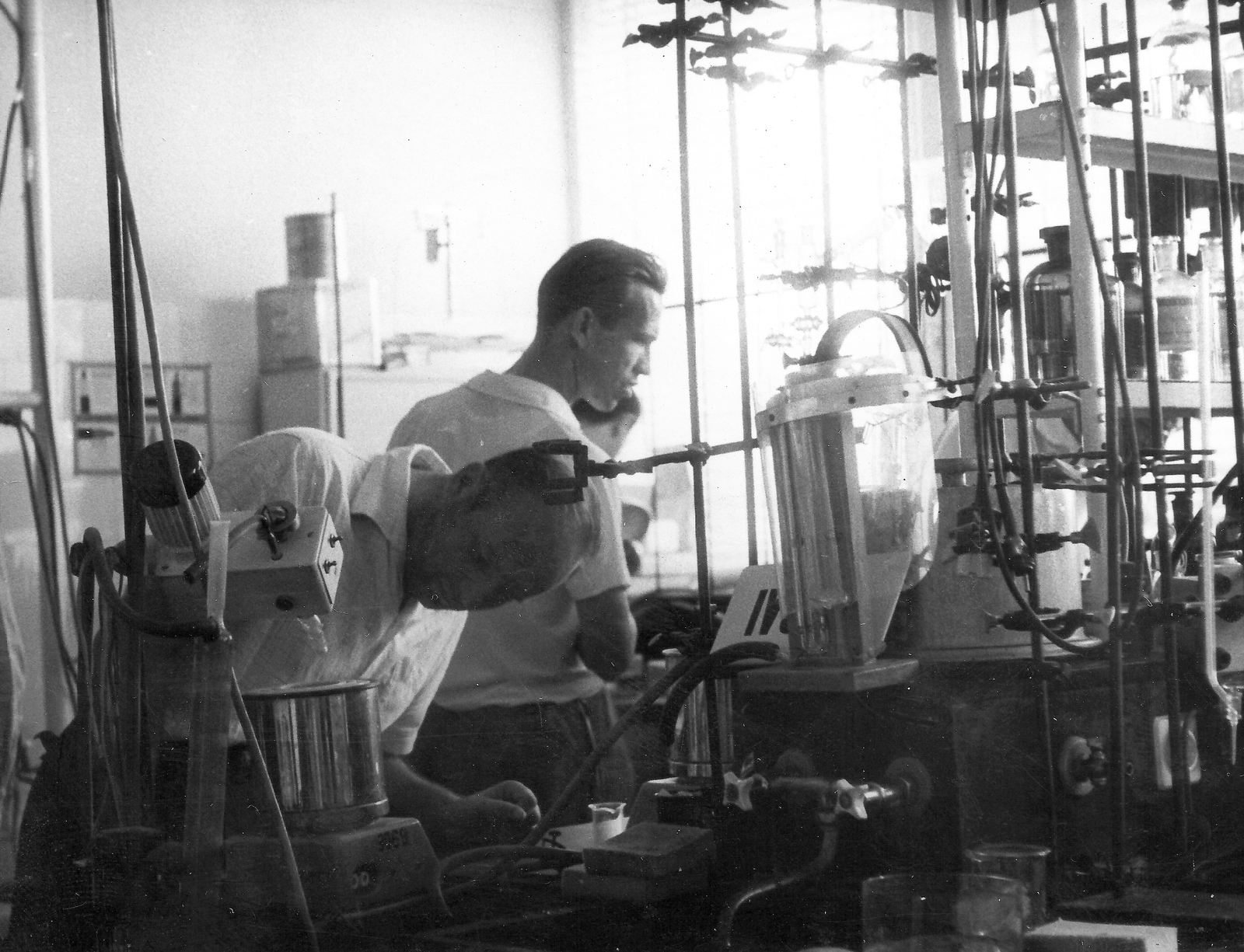 1955, Éles Andrásné, men, laboratory, work, Fortepan #32399