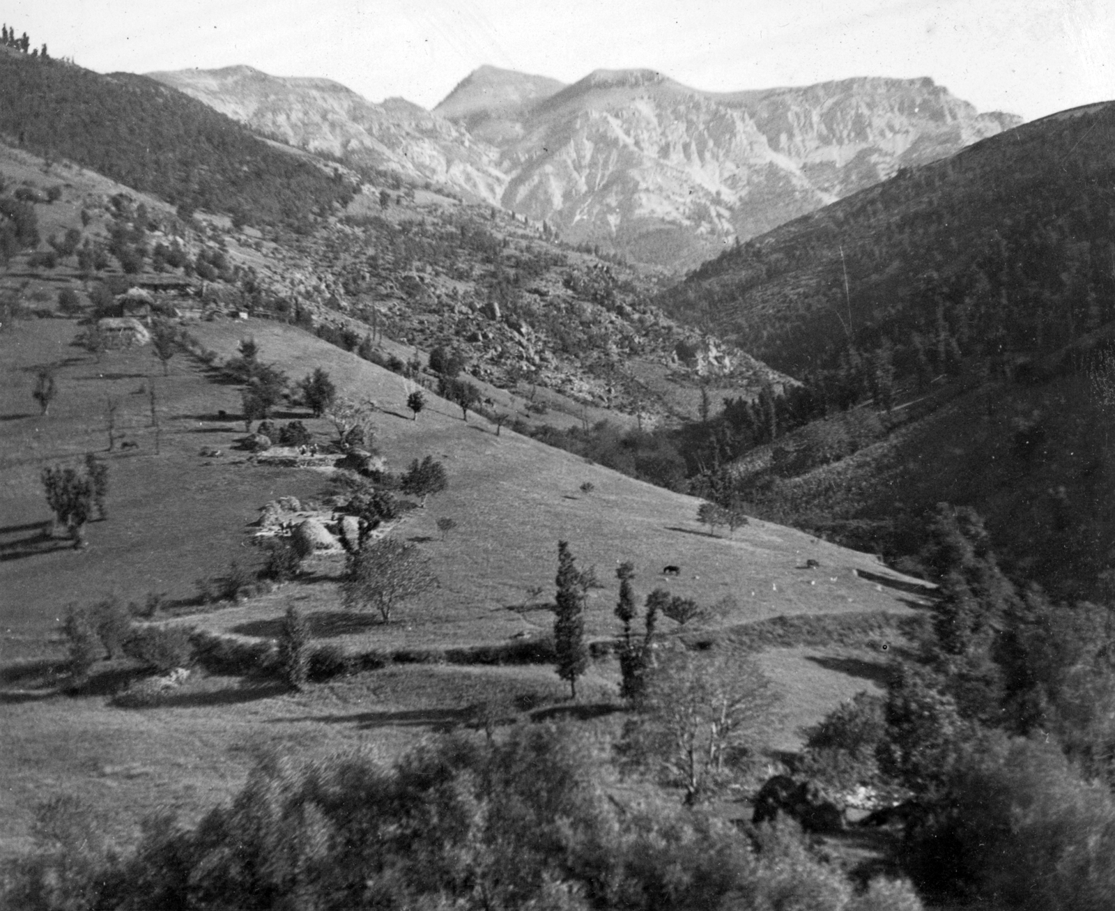 Bulgária, Balkán-hegység, az Iszker folyó völgye Ocsindol közelében., 1937, Indóház, tájkép, Fortepan #32441