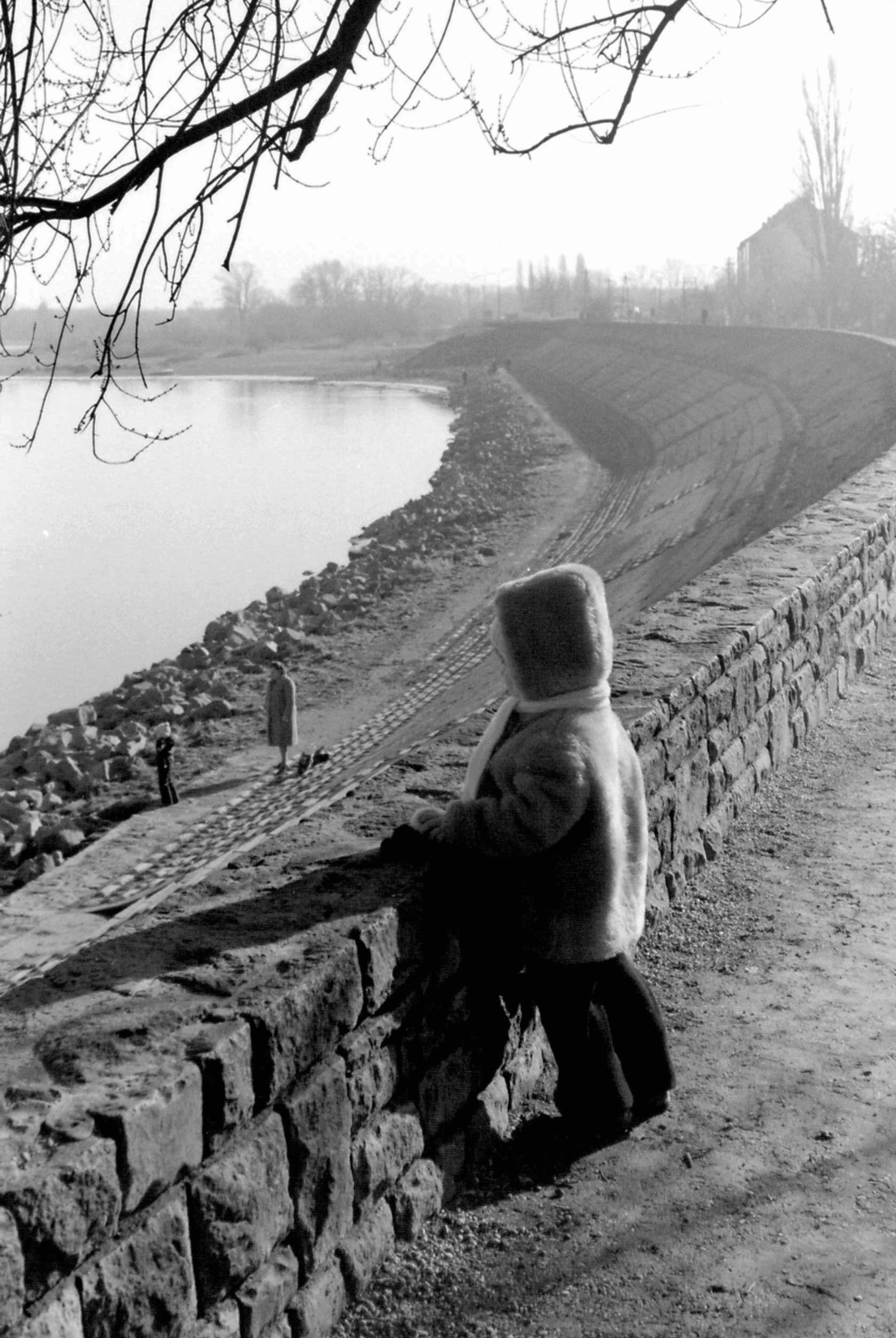 Magyarország, Szentendre, Duna korzó (Somogyi-Bacsó part) a Görög utca környékén., 1977, Déri György, tél, gát, Fortepan #32730