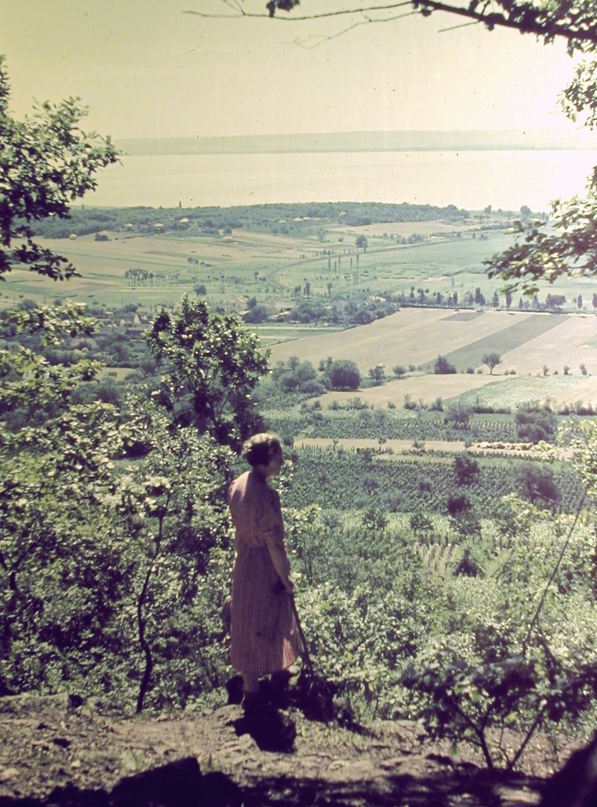 Magyarország, Balatonrendes, 1936, Fortepan, színes, látkép, Fortepan #3290