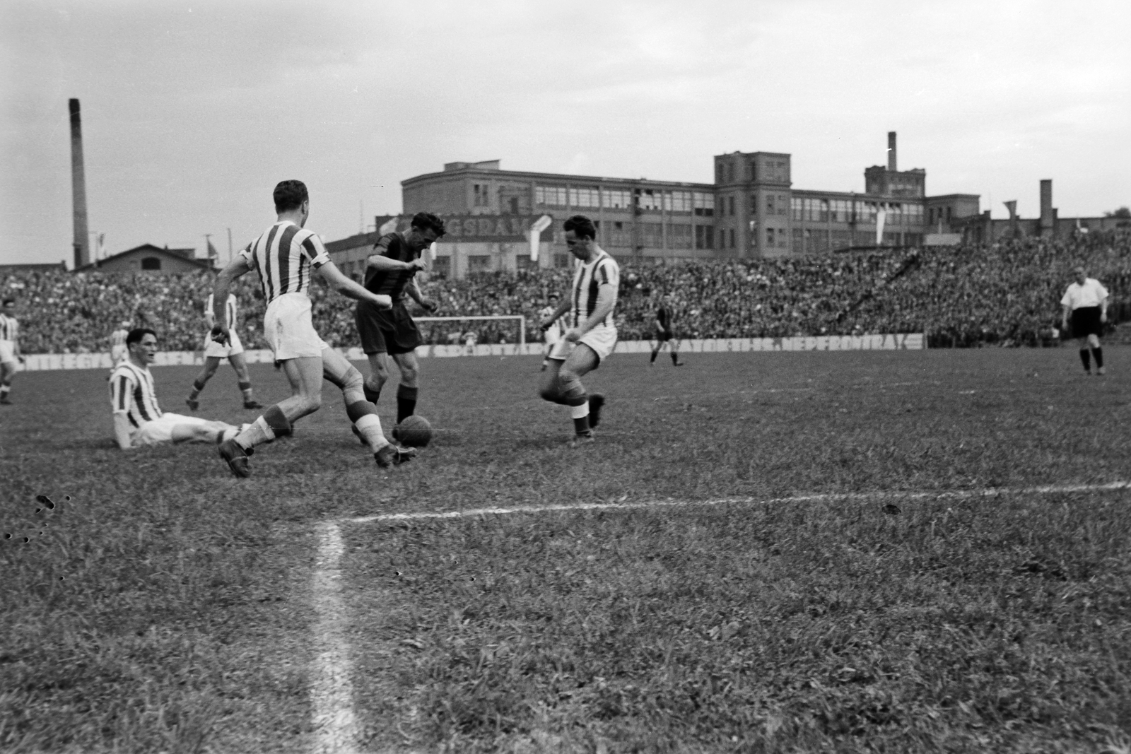 Hungary, Budapest IV., Újpest, Megyeri út, UTE stadion, Újpest - Szeged (5:1) bajnoki mérkőzés, az újpestiek: Fejes László (ül), Balogh II. Sándor (háttal), Horváth Károly., 1949, Kovács Márton Ernő, Budapest, celebrity, football, Fortepan #32958