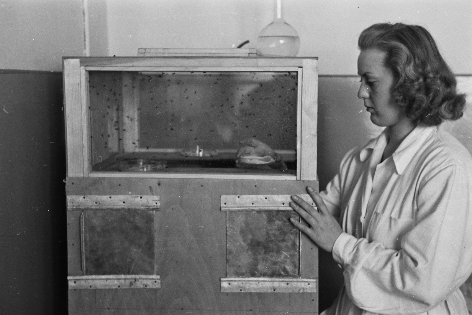 Hungary, Budapest IX., Hungária vegyiművek, DDT üzemi laboratórium., 1949, Kovács Márton Ernő, Budapest, overall, experiment, lady, laboratory, Fortepan #33040