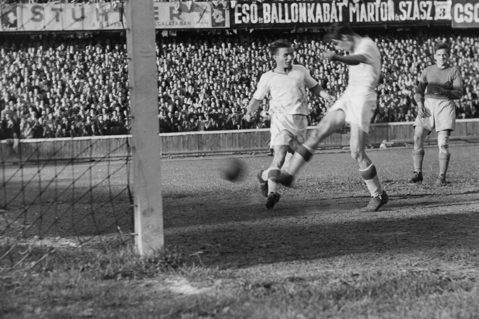 Hungary, Budapest IX., Üllői út, FTC stadion, Ferencváros-Vasas (7:2) mérkőzés. Kocsis gólt lő, mellette Budai II, hátrébb Turai kapus., 1949, Kovács Márton Ernő, Budapest, celebrity, audience, football, Fortepan #33054