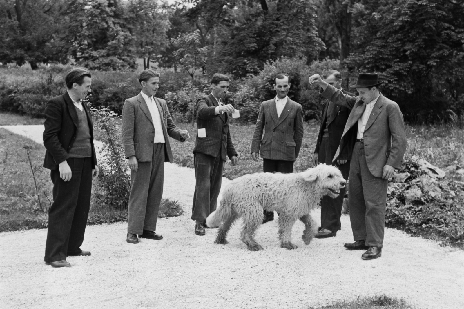 Hungary, Budapest XII., Béla király út 30., Dolgozó Parasztok és Földmunkások Országos Szövetsége (DÉFOSZ) Szabadsághegyi iskola parkja. Mintagazdák utazás előtti gyülekezése, akiket a Szovjetunió meghívott a világ leghaladottabb földművelésének tanulmányozására., 1949, Kovács Márton Ernő, dog, Budapest, learning, farm, agriculture, Fortepan #33076