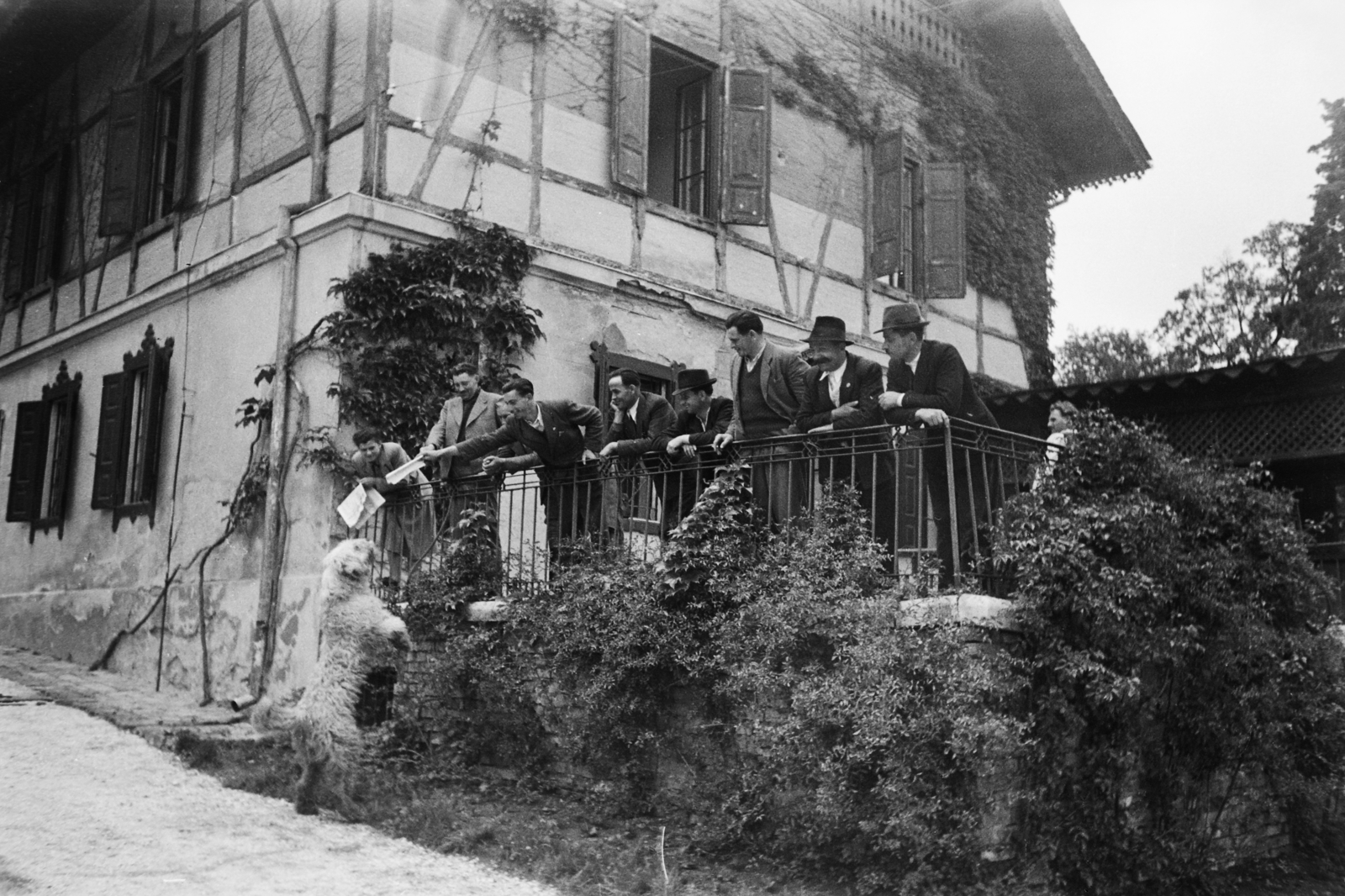 Hungary, Budapest XII., Béla király út 30., Dolgozó Parasztok és Földmunkások Országos Szövetsége (DÉFOSZ) Szabadsághegyi iskola. Mintagazdák utazás előtti gyülekezése, akiket a Szovjetunió meghívott a világ leghaladottabb földművelésének tanulmányozására., 1949, Kovács Márton Ernő, dog, Budapest, learning, farm, agriculture, Fortepan #33077