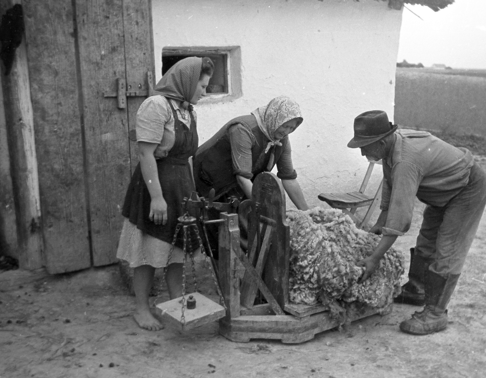 Hungary, Kunszentmiklós, a frissen nyírt birkabunda mérése., 1949, Kovács Márton Ernő, weigh, Fortepan #33176