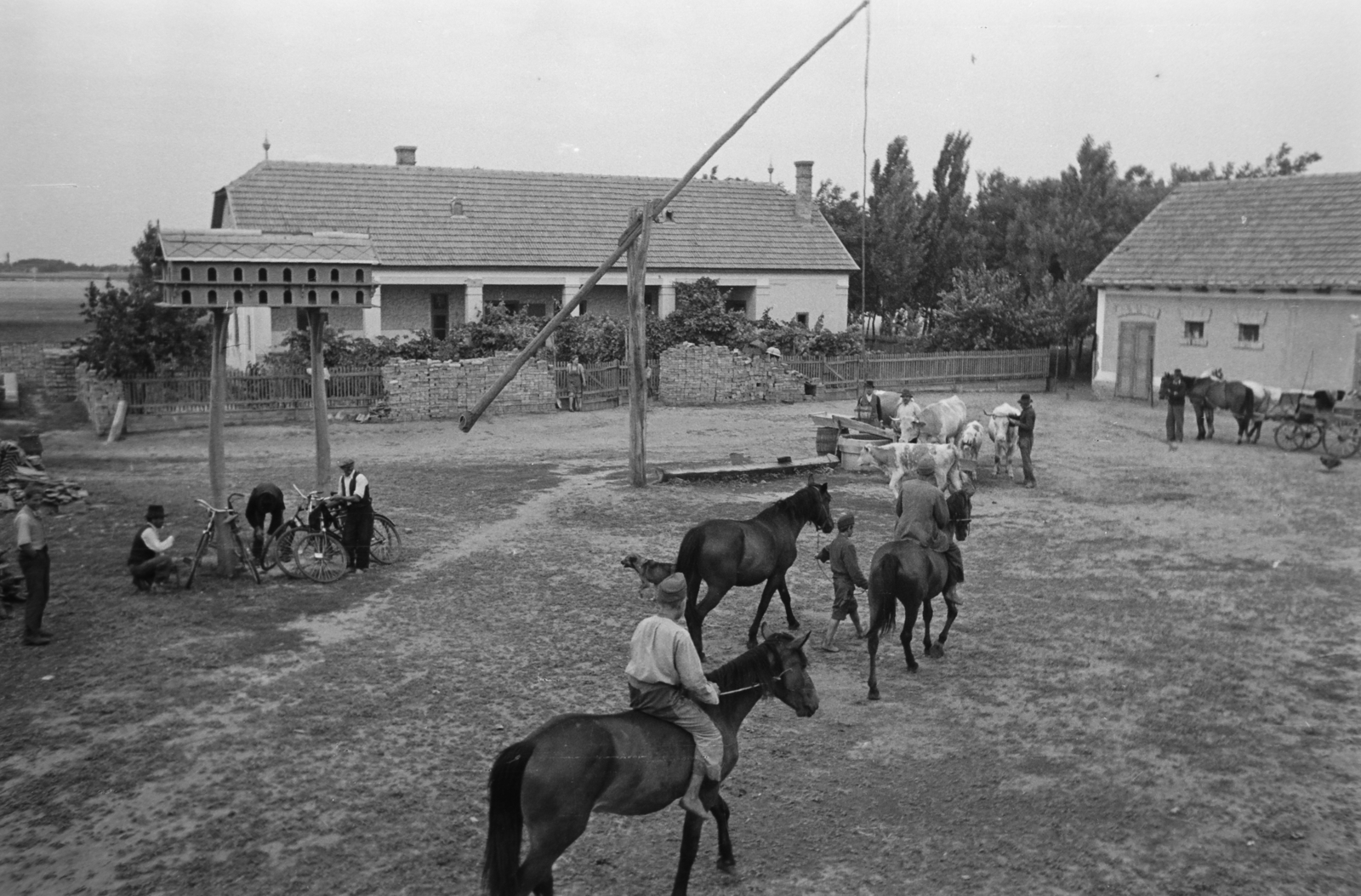 Hungary, Kunszentmiklós, 1949, Kovács Márton Ernő, bicycle, horse, well, carriage, farm, cattle, coach, water trough, rider, shadoof, dovecote, Fortepan #33182