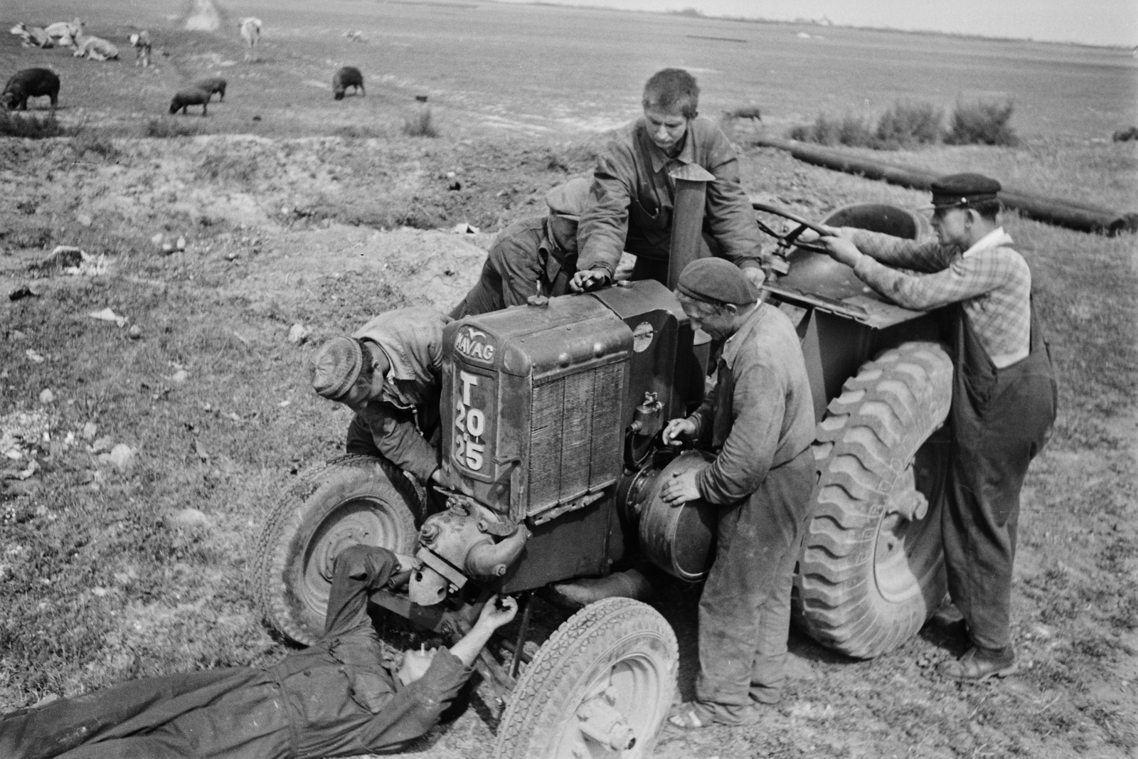 Hungary, MÁVAG T20-25 típusú izzófejes traktor., 1949, Kovács Márton Ernő, Hungarian brand, MÁVAG-brand, tractor, agriculture, Fortepan #33228