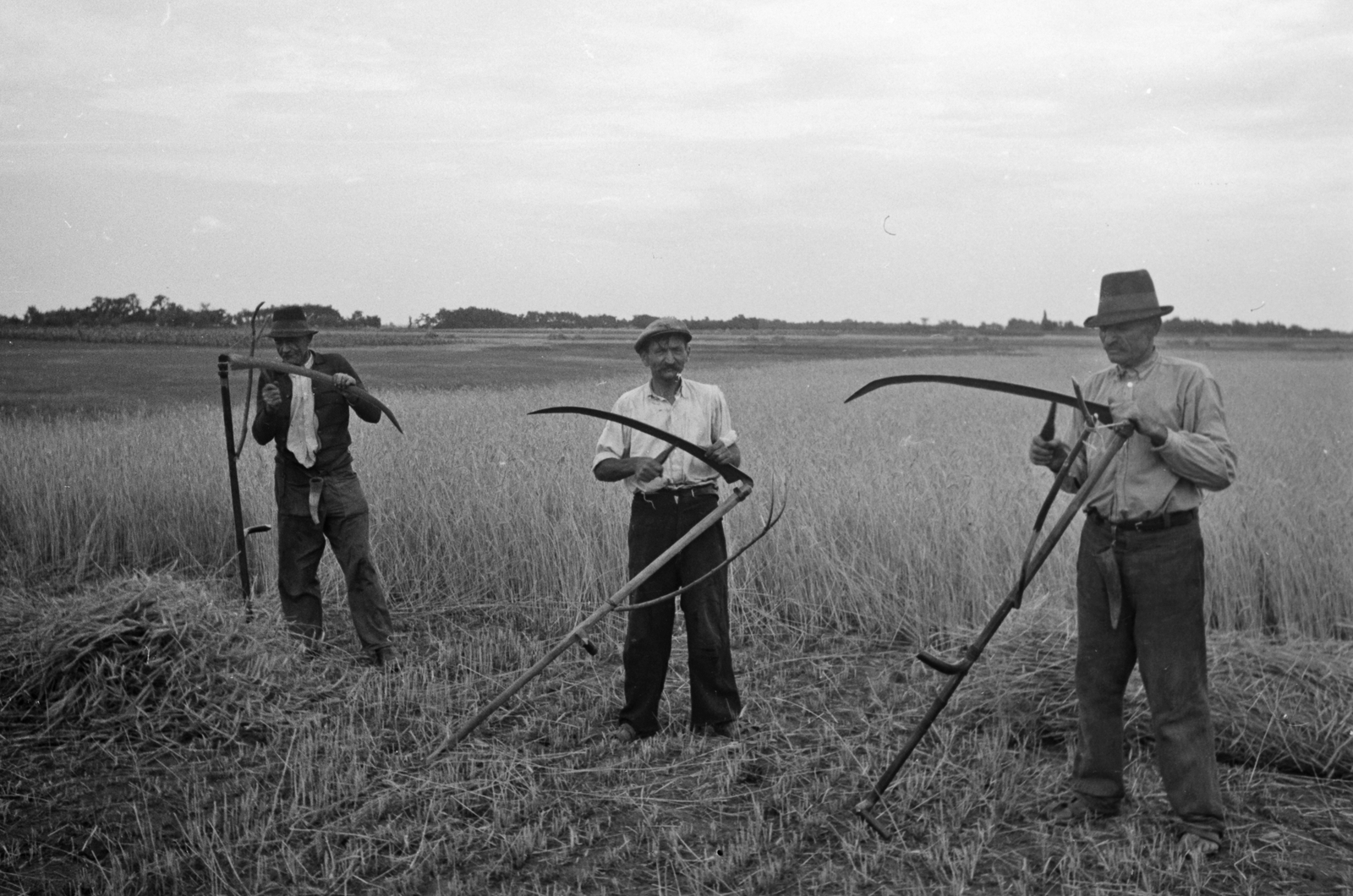 Hungary, Kézi kaszás aratás. Kasza élezése fenőkővel., 1949, Kovács Márton Ernő, agriculture, harvest, scythe, sharpening stone, scythe stone, Fortepan #33234