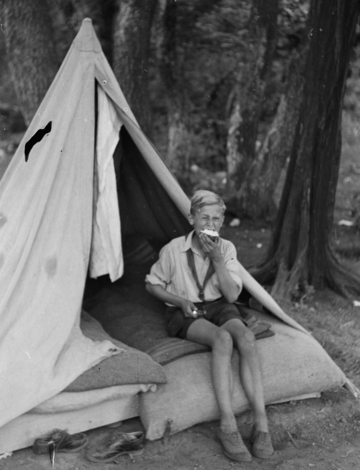 1949, Kovács Márton Ernő, pioneer, meal, tent, Young Pioneer camp, Fortepan #33290