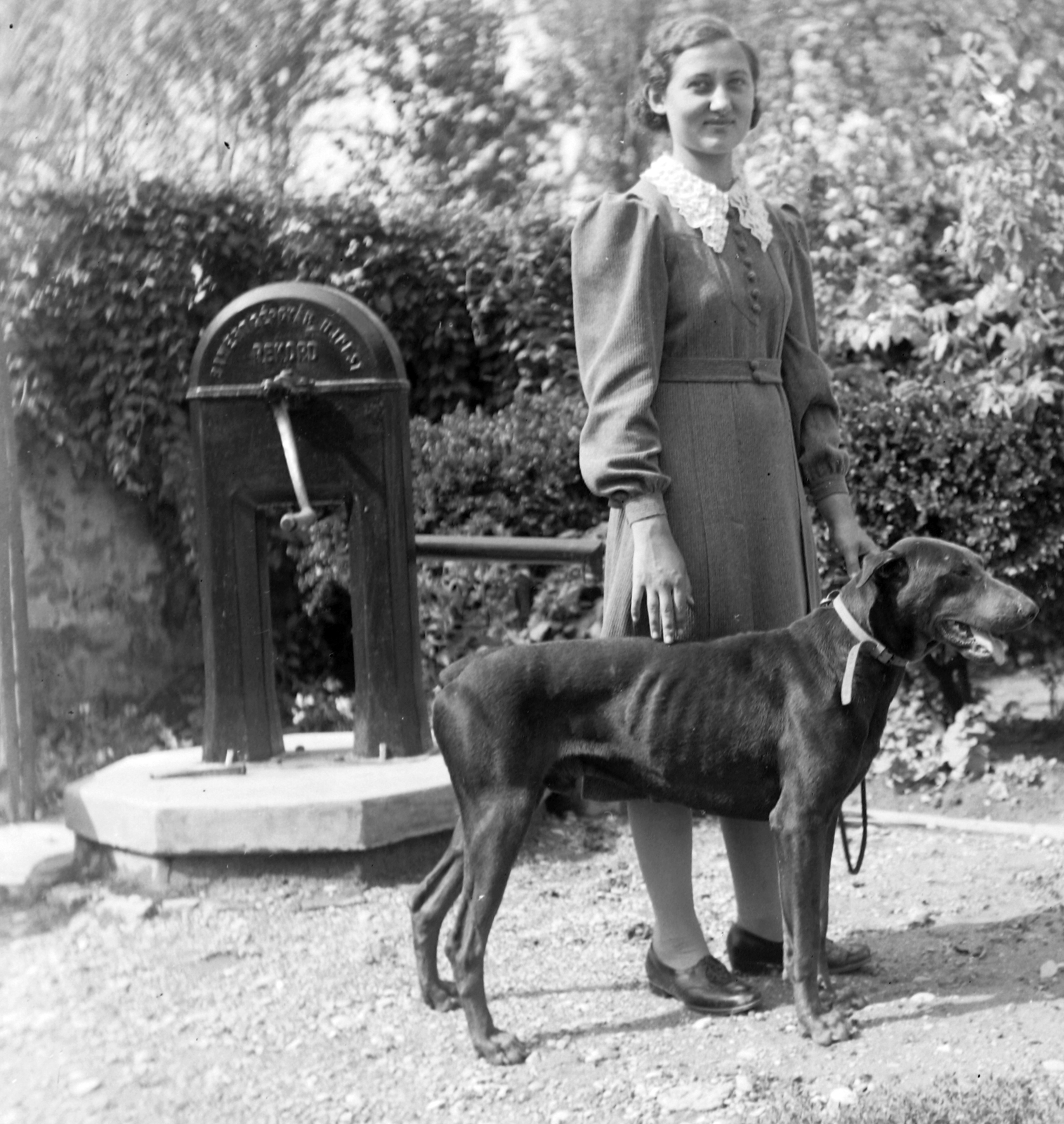 1930, Körmendy Pál, portrait, dog, garden, well, summer, woman, Fortepan #33331