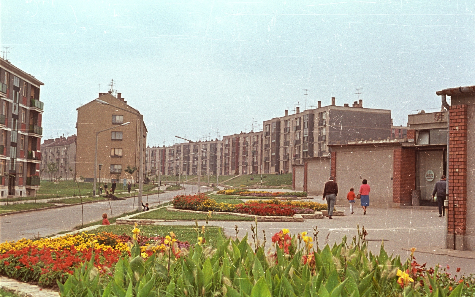 Hungary, Kazincbarcika, Május 1. út., 1966, Építésügyi Dokumentációs és Információs Központ, VÁTI, colorful, blocks, street view, flower, Fortepan #33459