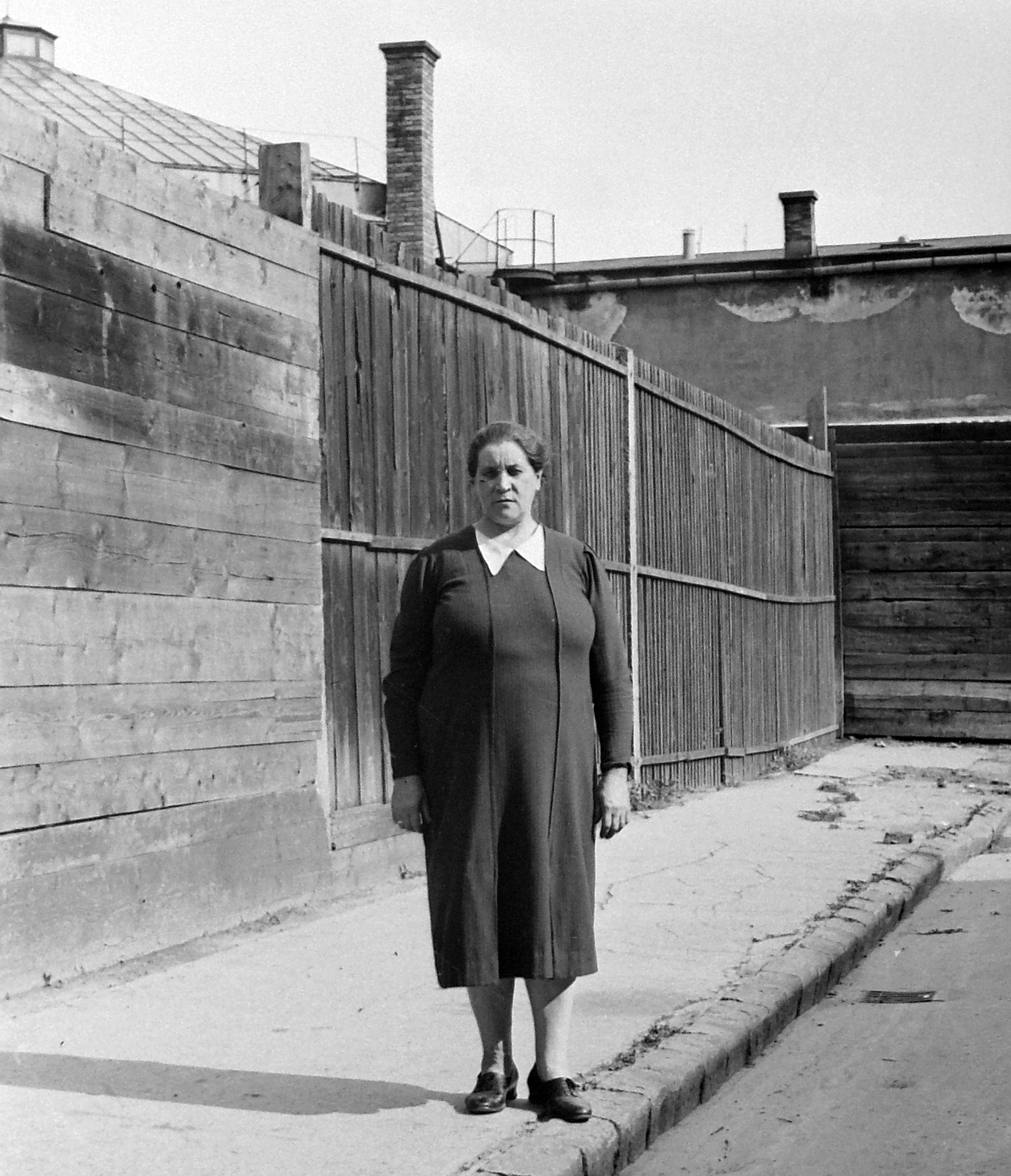 Hungary, Budapest VIII., Füvészkert (Szigetvári) utca, balra a háttérben a füvészkerti üvegház kupolája látszik, 1935, Homoródy Károly, portrait, street view, lath fence, lady, Budapest, Fortepan #3455