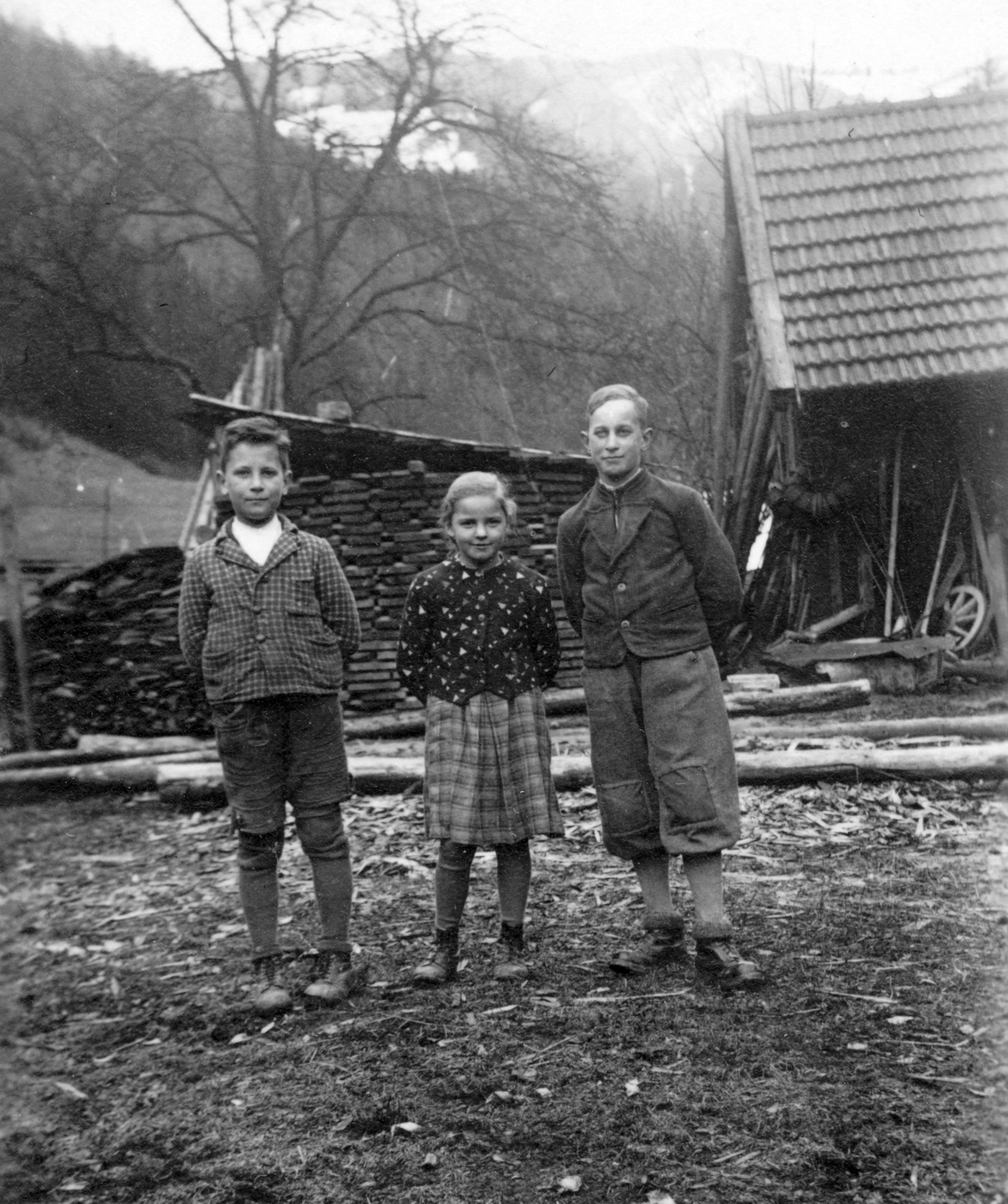 1951, Fortepan, village, tableau, kids, girl, boys, woodshed, firewood, cartwheel, pile of boards, Fortepan #38914