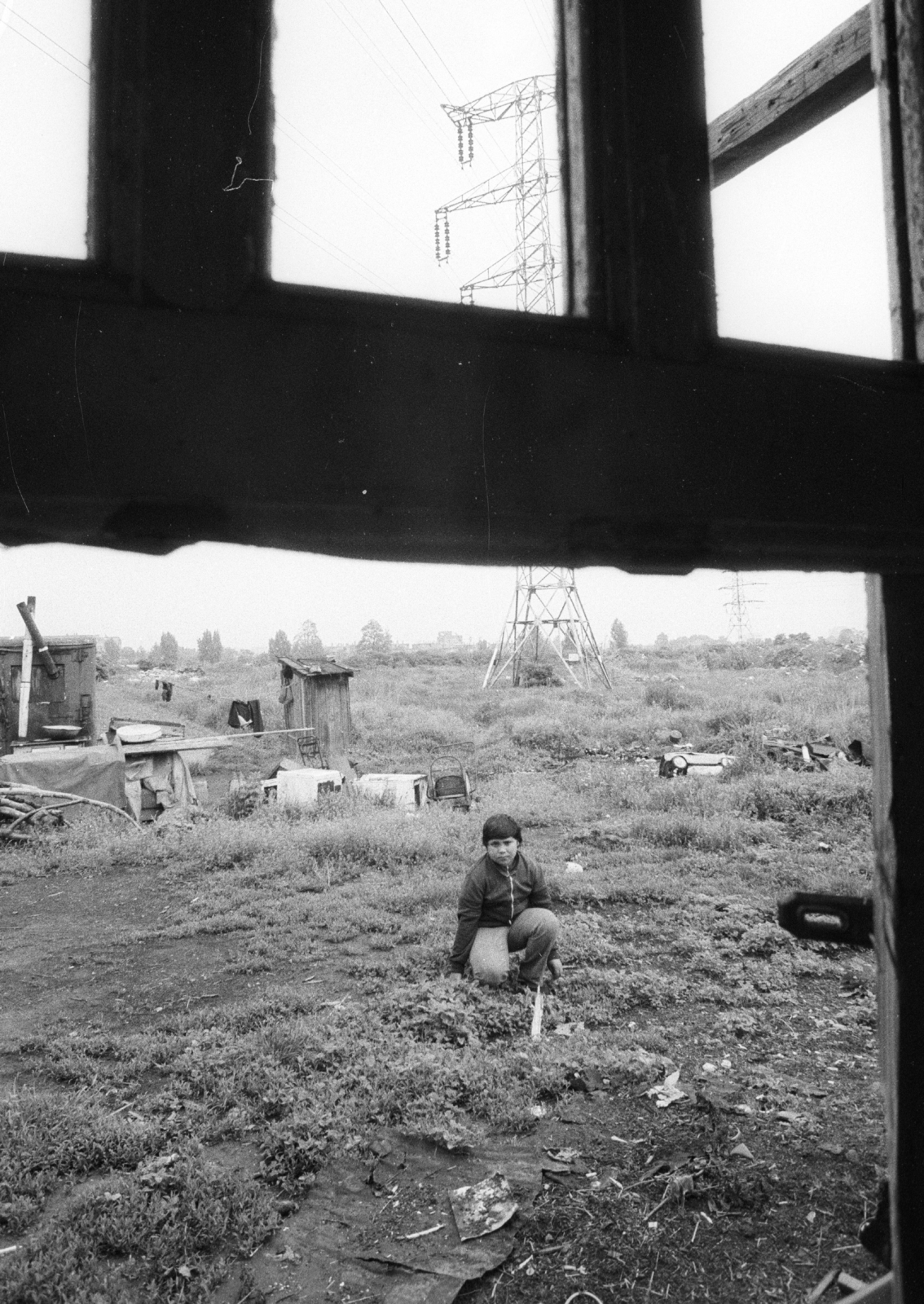 Hungary, Budapest XIV., Szugló utca 125., 1983, Fortepan, booth, kid, loo, tripe, woodshed, power line, Budapest, Fortepan #39194