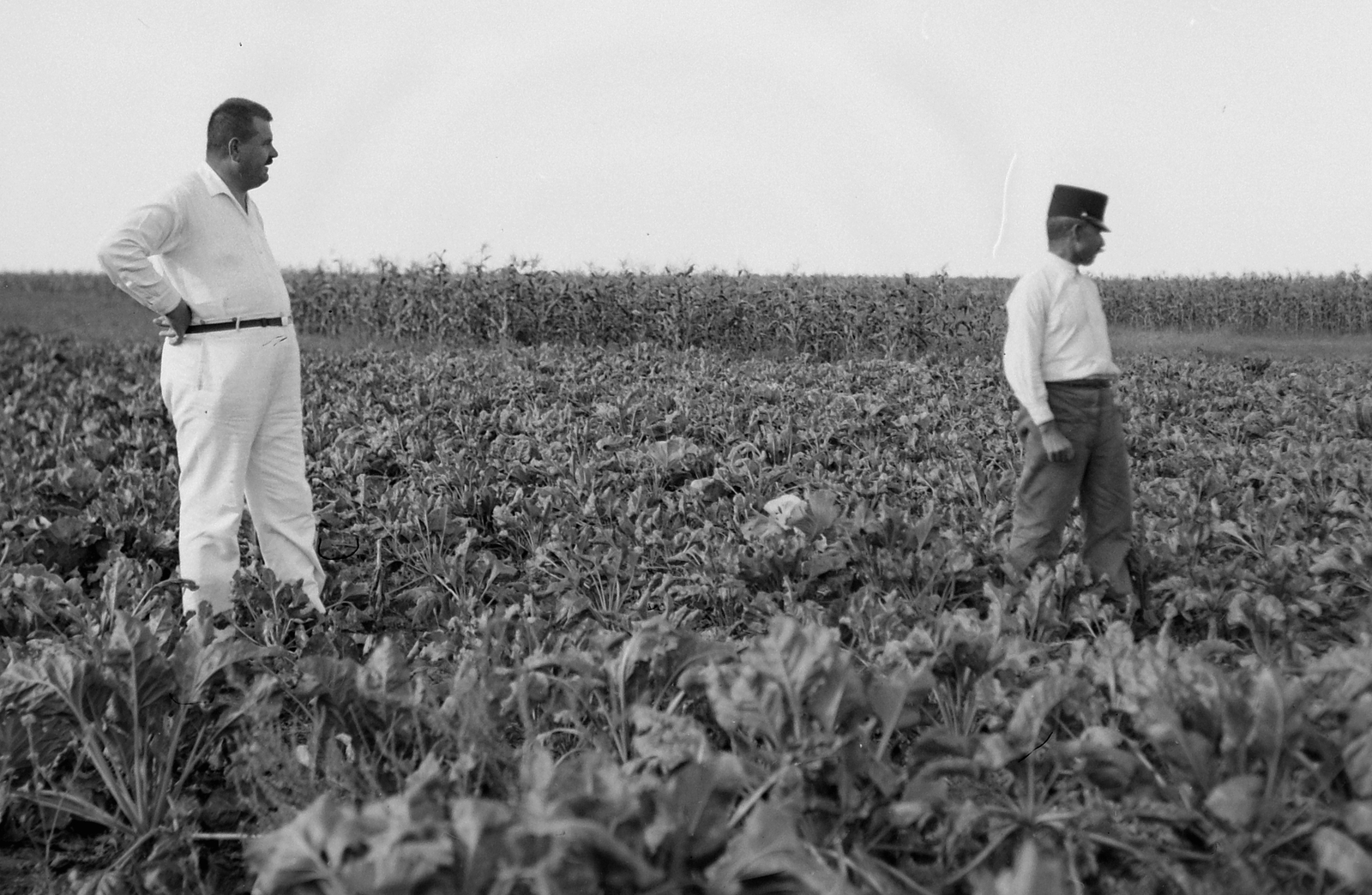 1930, Fortepan, men, agriculture, Fortepan #3929