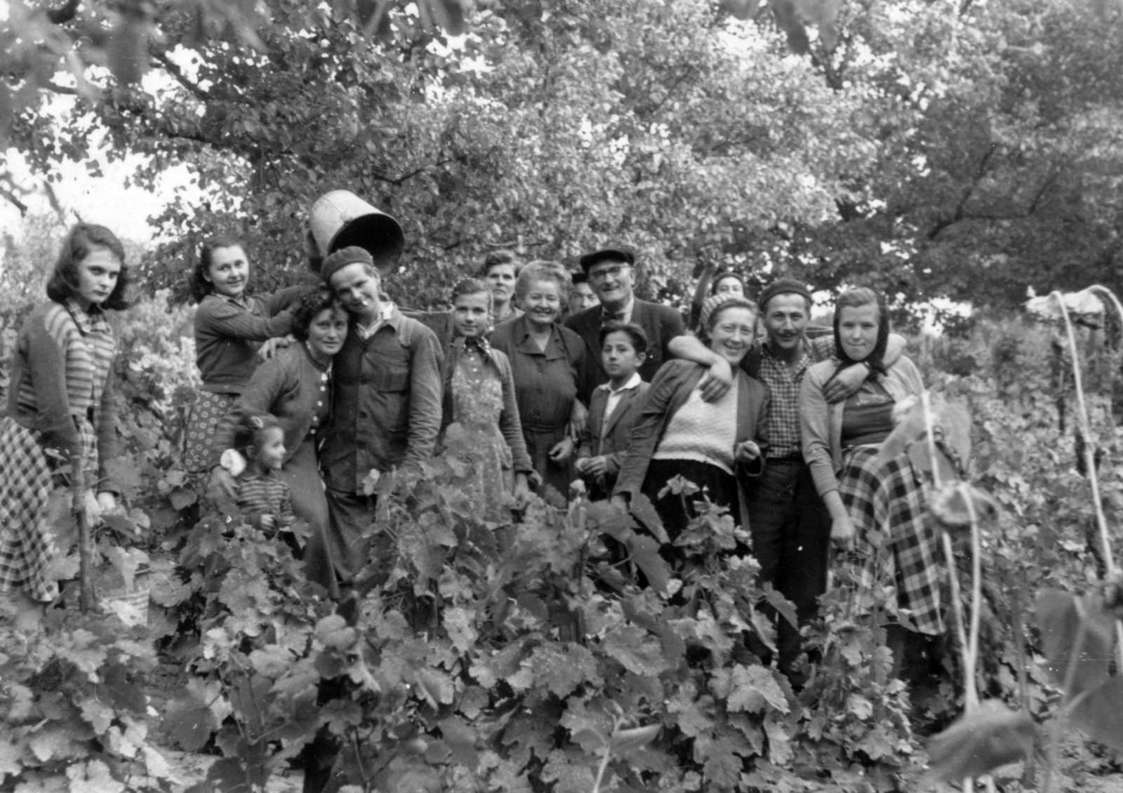 1950, Ongrádi Melinda, harvest, tableau, fun, grape, beret, Fortepan #39364