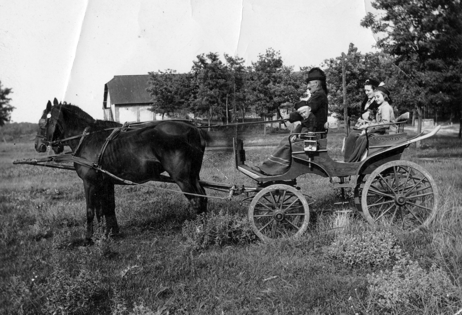 1915, Ongrádi Melinda, village, horse, carriage, Horse-drawn carriage, field, coach, kids, woman, teamster, Fortepan #39370