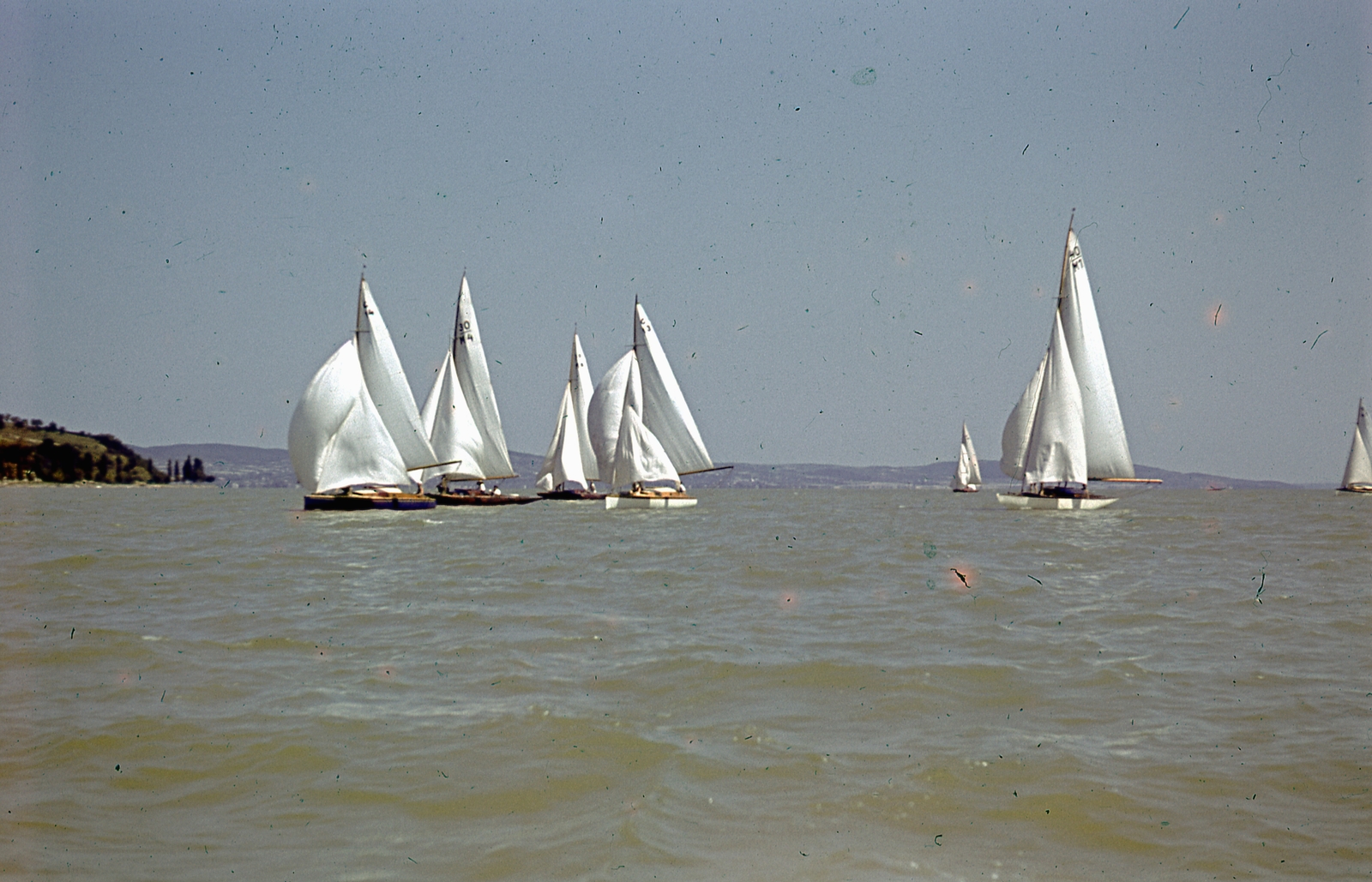 Hungary,Lake Balaton, 1942-es kékszalag Tihanynál., 1942, Ember Károly dr., colorful, dinghy, cruiser, Fortepan #40838