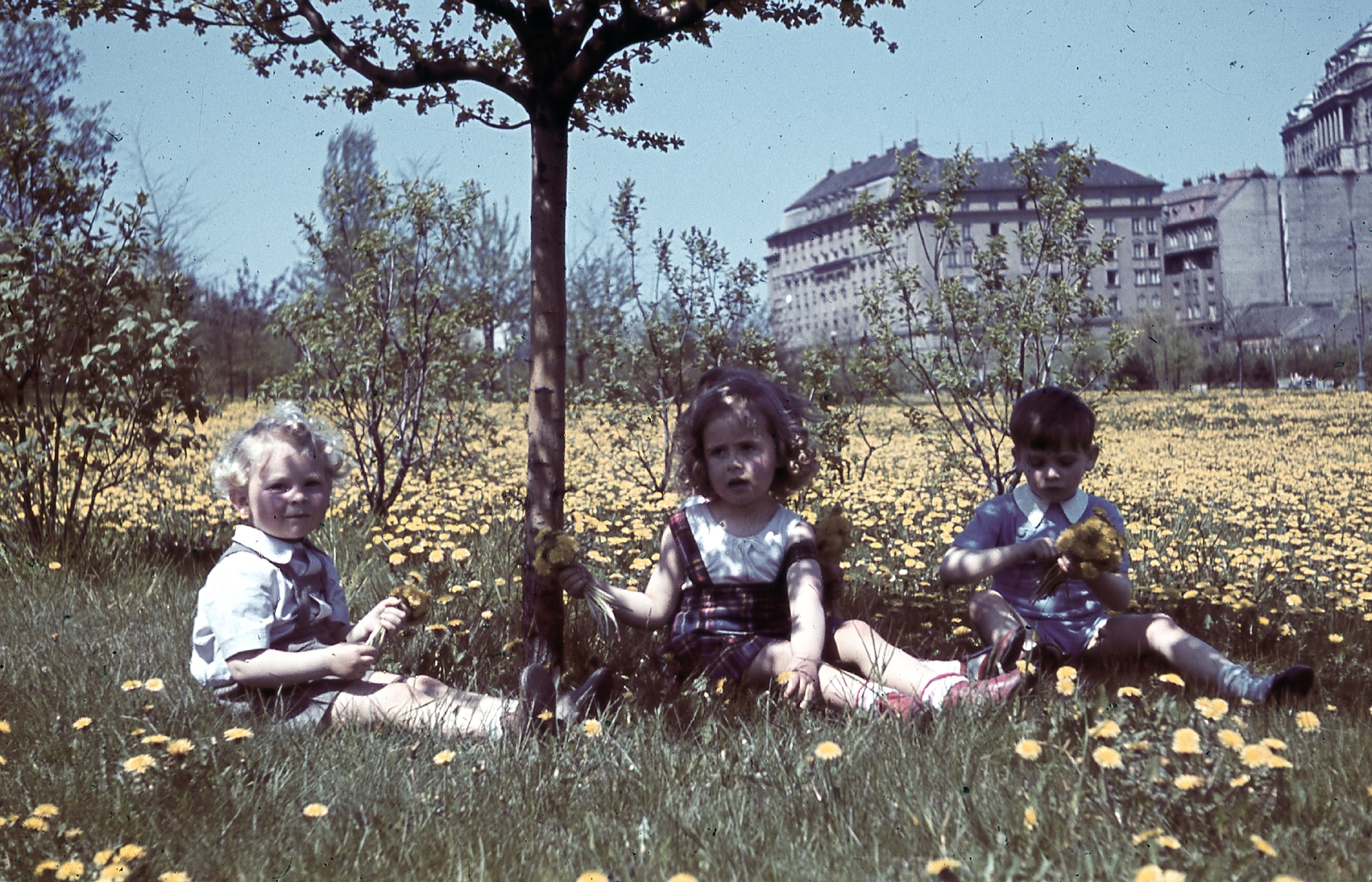 Magyarország, Tabán, Budapest I., háttérben a Bethlen-udvar, jobbra fent a Királyi Palota (később Budavári Palota) látszik., 1941, Ember Károly dr., színes, mező, gyerek, Budapest, Fortepan #40878