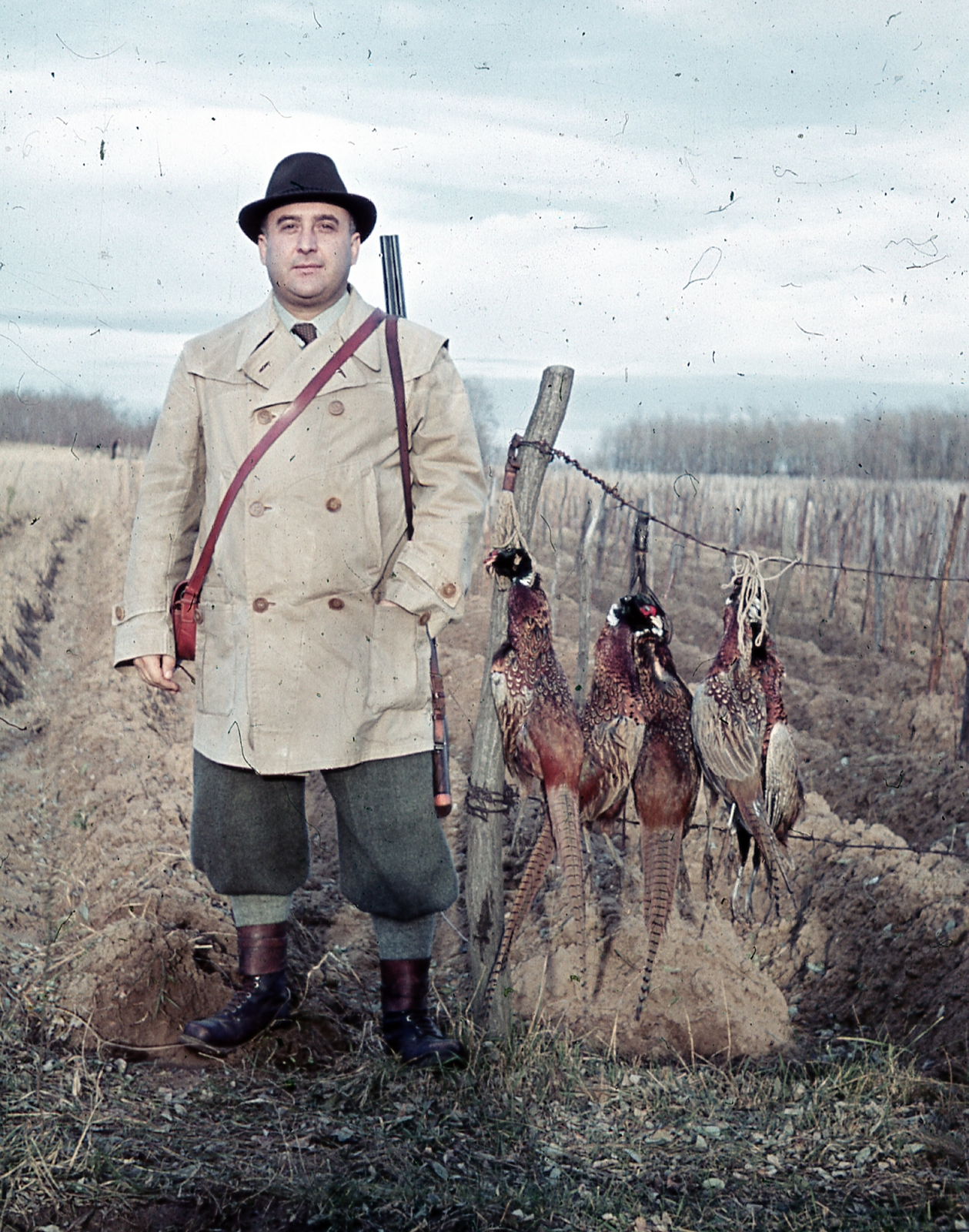 Hungary, Ócsa, 1940, Ember Károly dr., colorful, hunting, pheasant, double-barreled shotgun, Fortepan #40887
