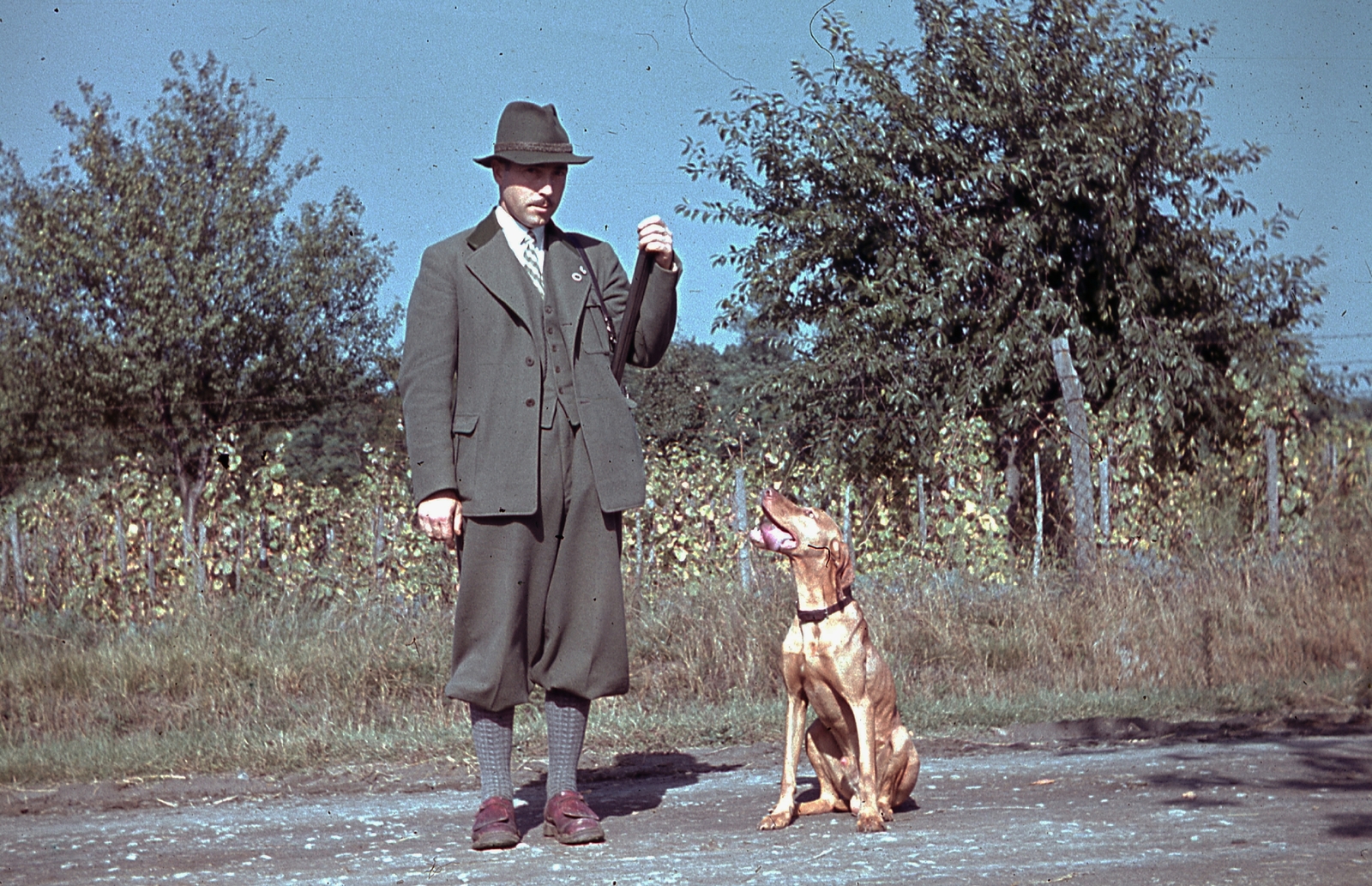 Magyarország, Ócsa, 1940, Ember Károly dr., színes, kutya, vizsla, duplacsövű vadászpuska, Fortepan #40889