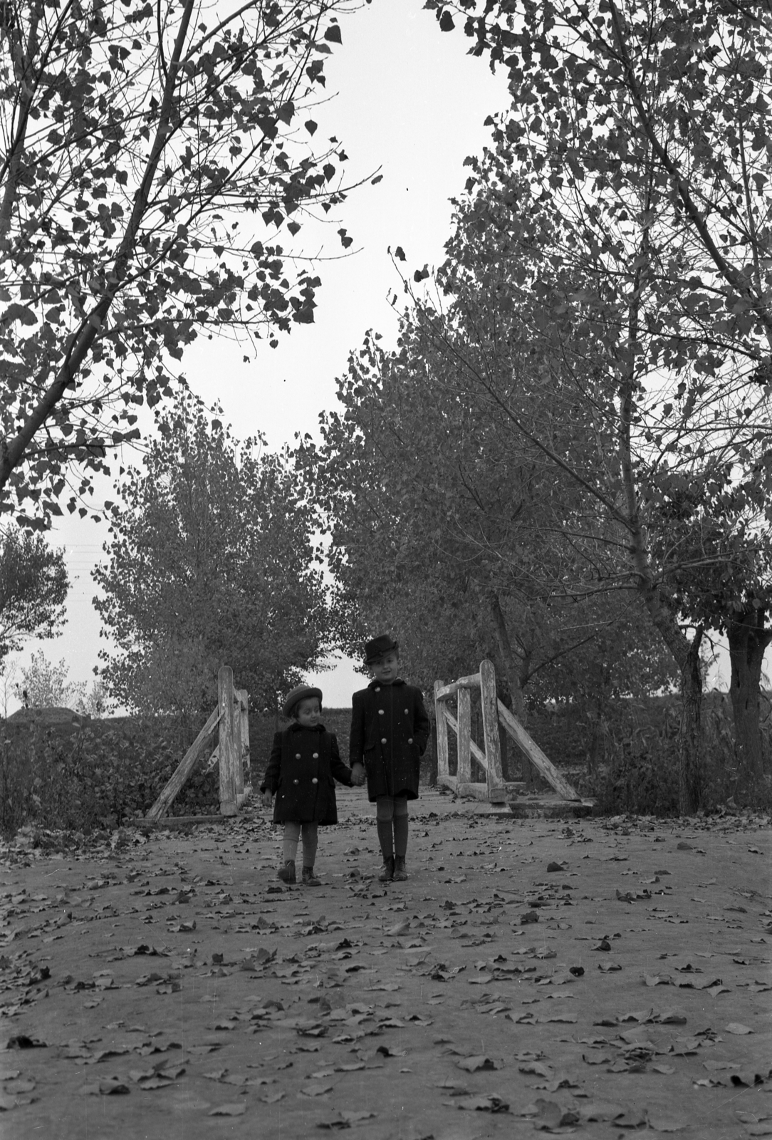 1943, Rados Tamás OSB, hold hands, wooden bridge, kids, Fortepan #40980