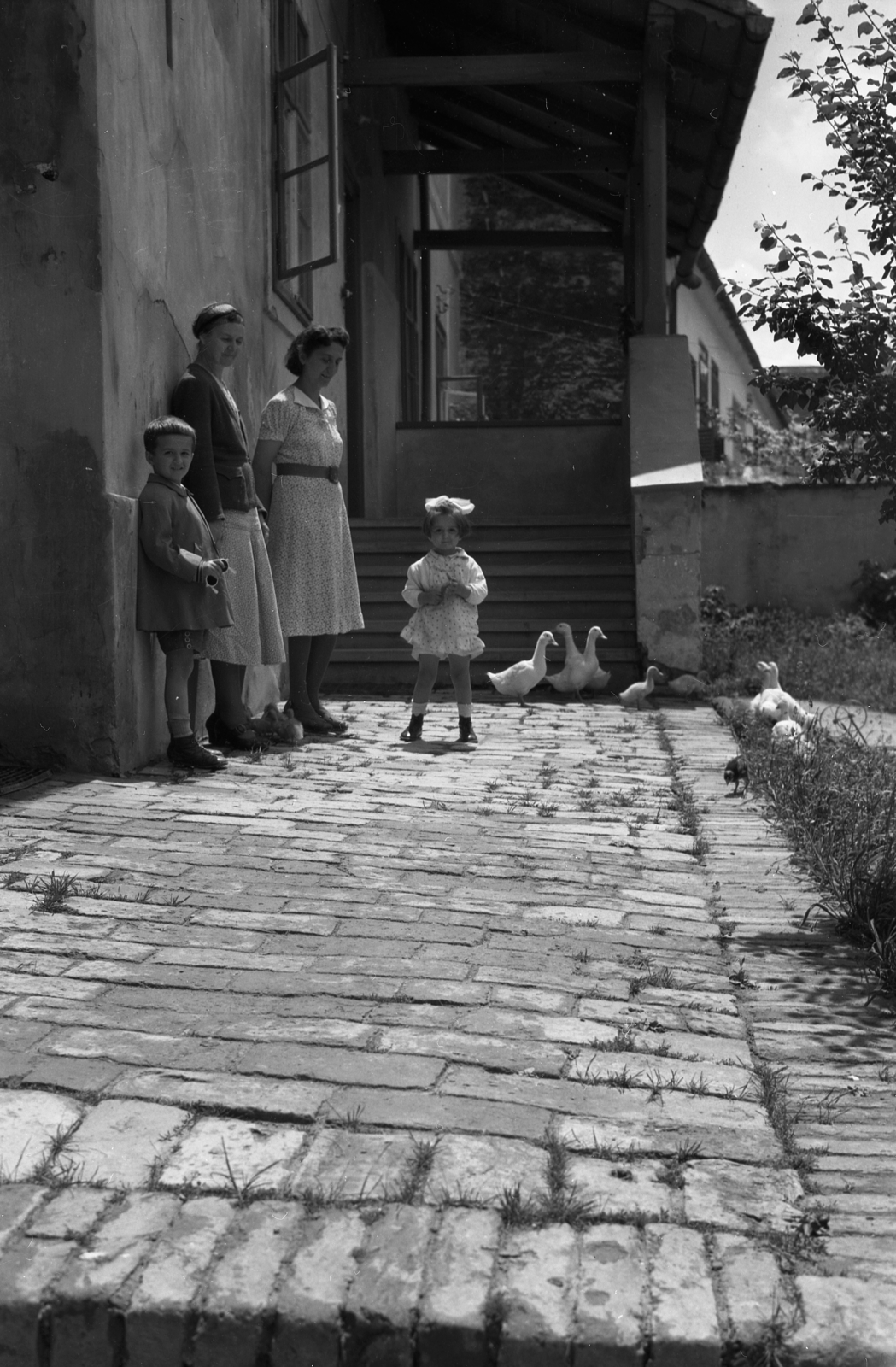 1943, Rados Tamás OSB, téglaburkolat, kacsa, udvar, Fortepan #40986