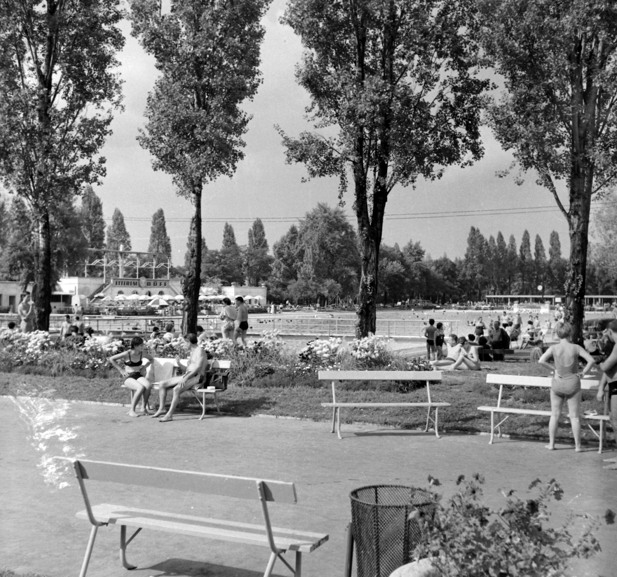 Magyarország, Margitsziget, Budapest, Palatinus Strandfürdő., 1964, Angyalföldi Helytörténeti Gyűjtemény, strand, Fortepan #41126