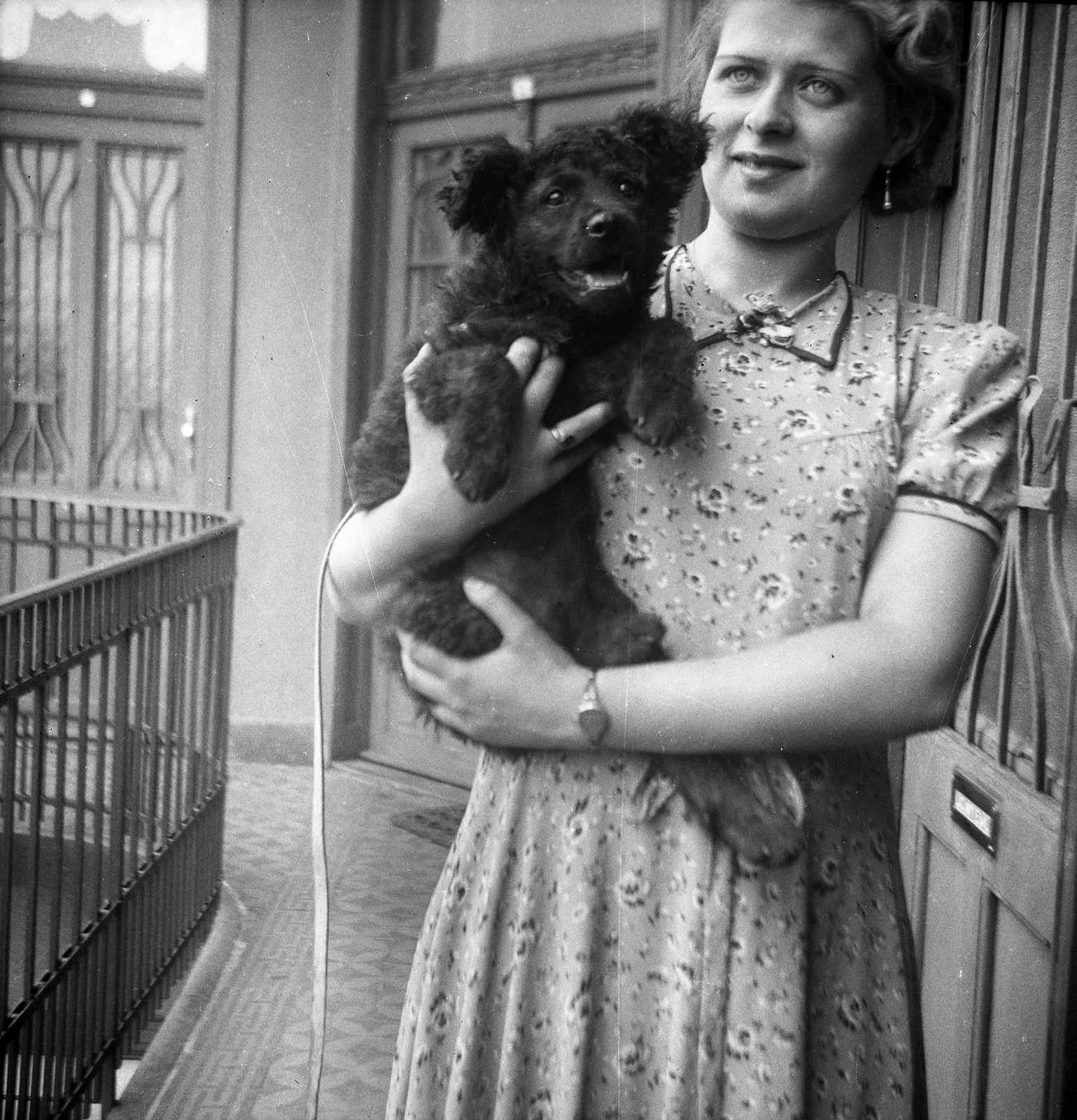1937, Bettina Fabos, dog, courtyard balcony, railing, wrist watch, lady, jewelry, earring, summer dresses, hold in arms, puppy, Fortepan #41346