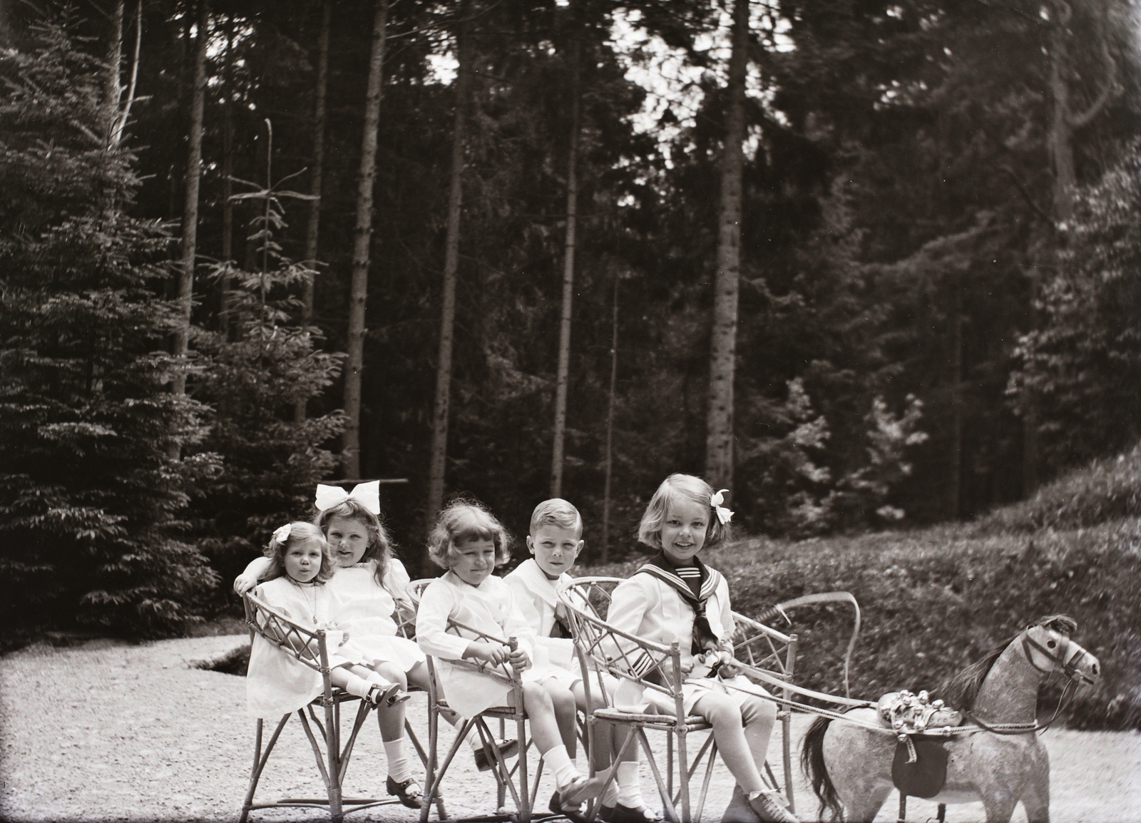 1909, Zichy, woods, toy, summer, Fortepan #4139