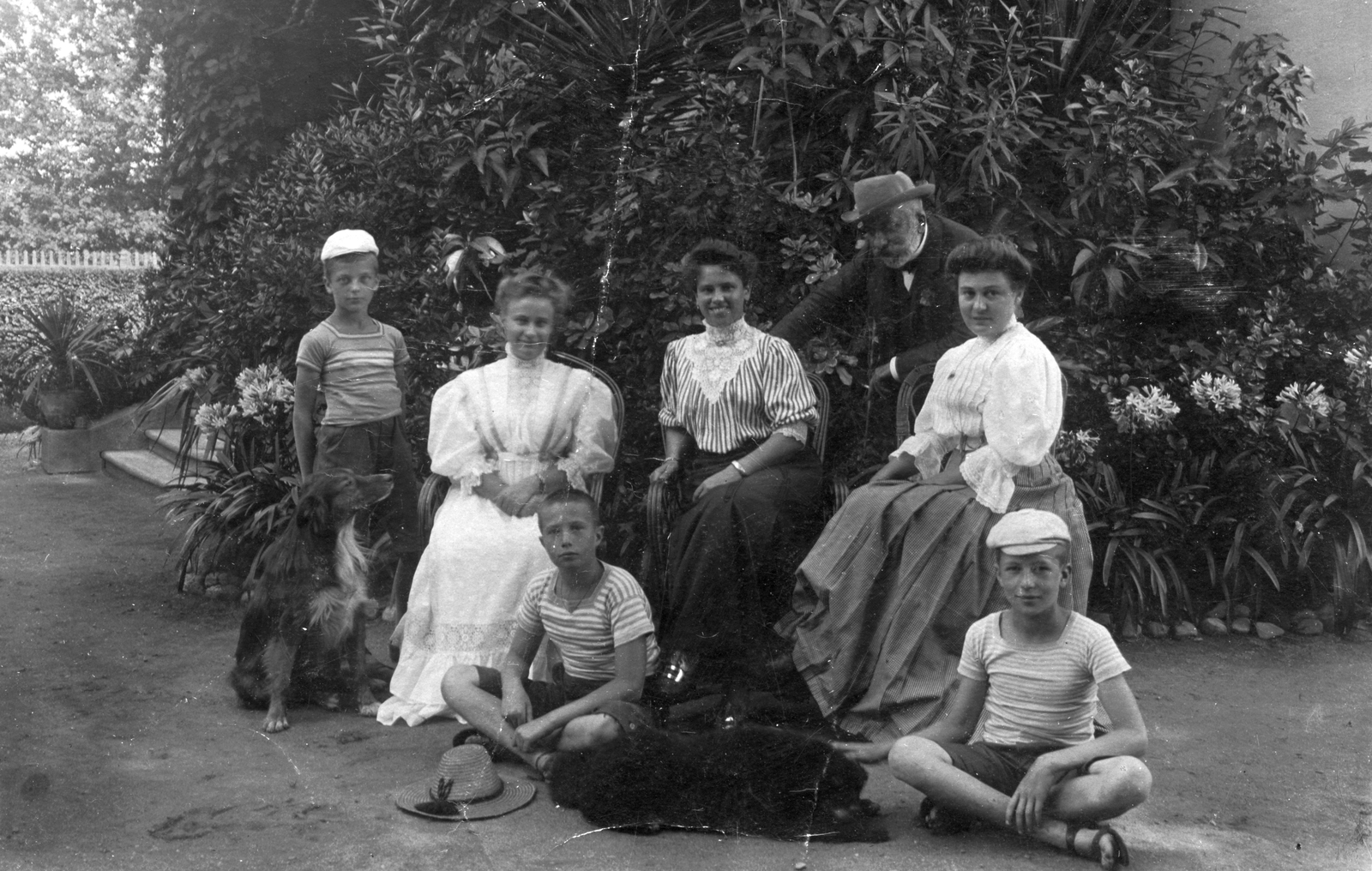 1908, Székelyi Péter, dog, garden, tableau, cross-legged sitting, hat on the ground, Fortepan #41458