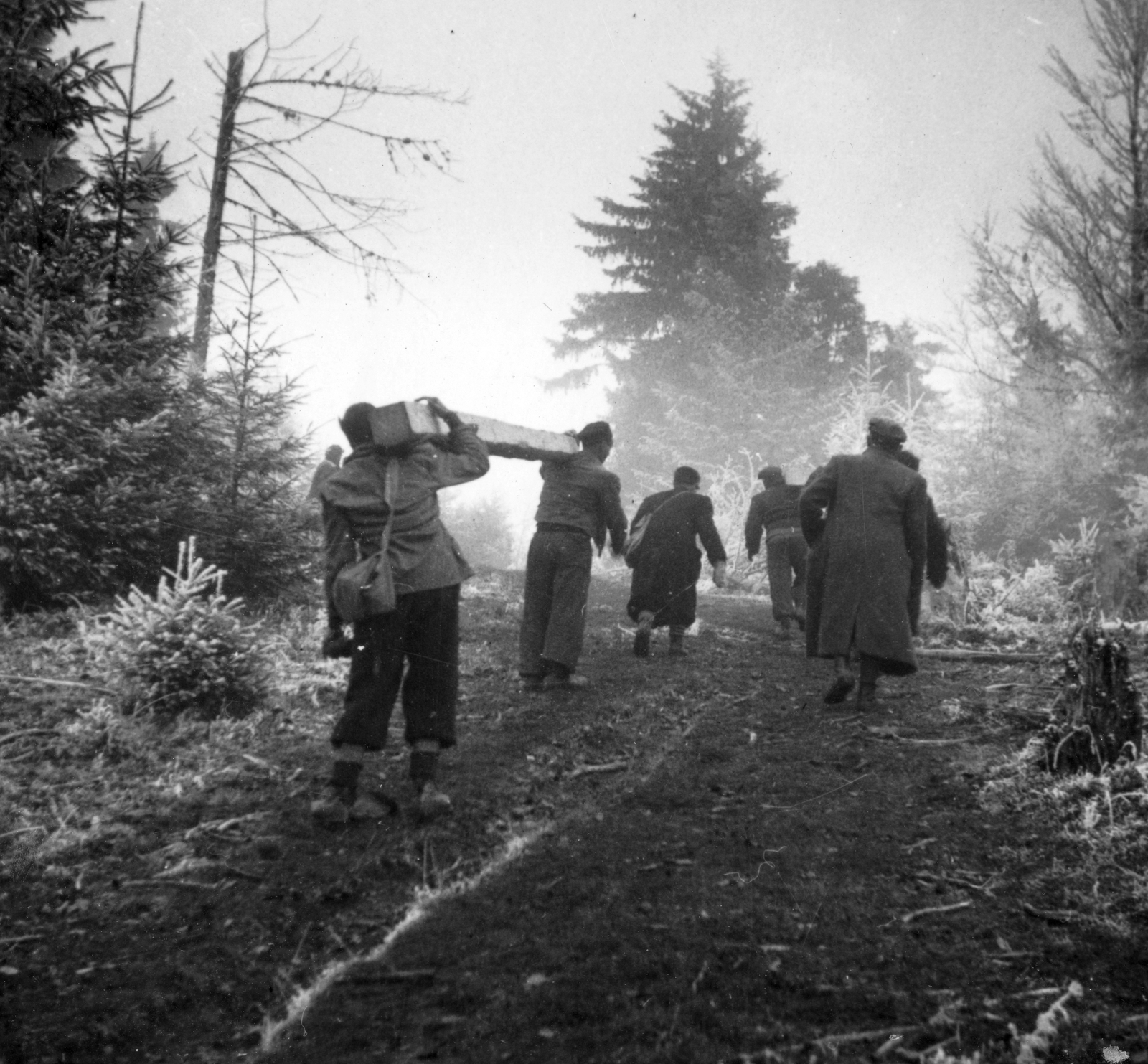 Romania,Transylvania, munkaszolgálat., 1941, MZSL/Magyar Zsidó Levéltár, beam, carrying on the shoulder, Fortepan #41675