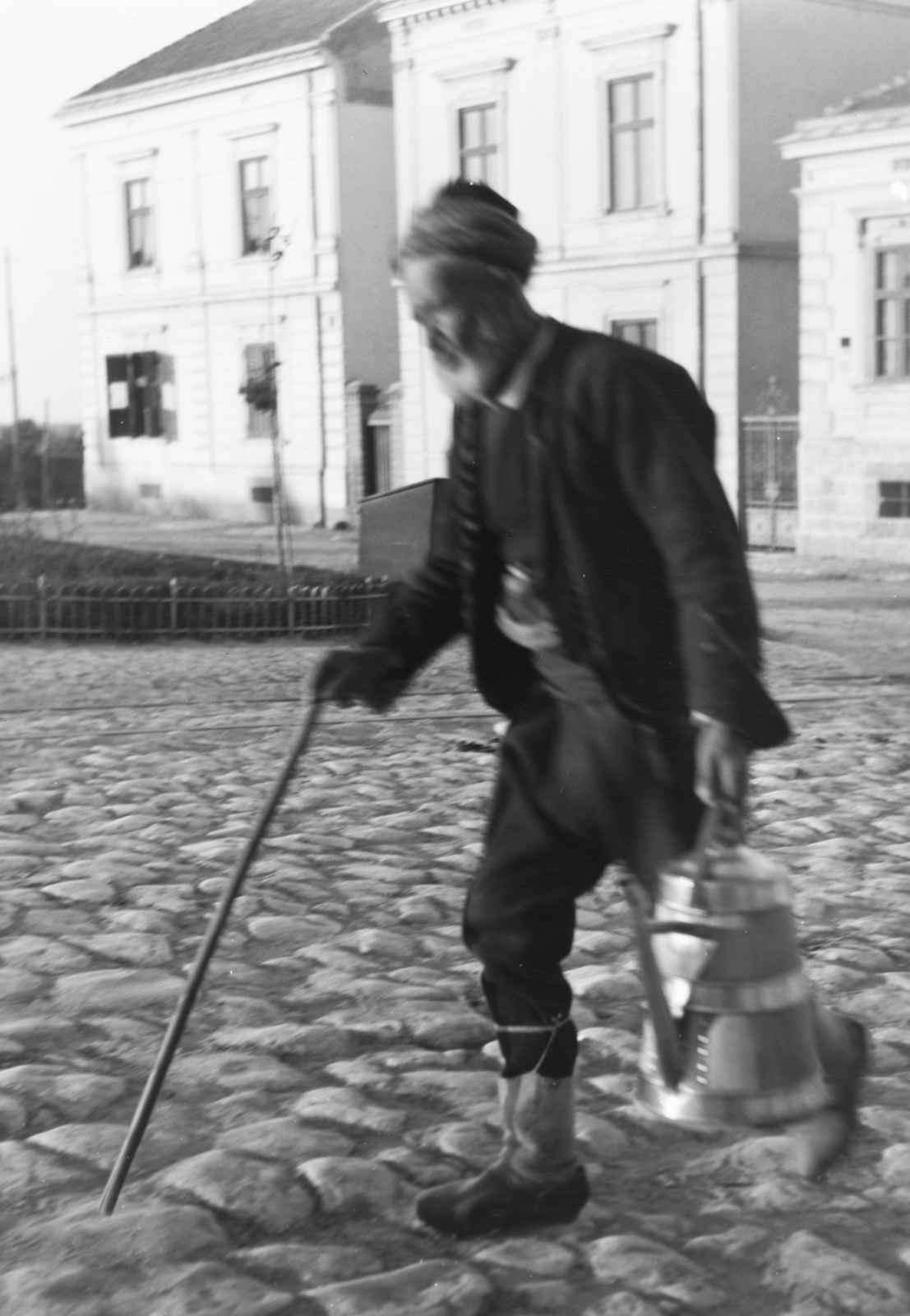 1906, Zichy, man, can, walking cane, Fortepan #41742