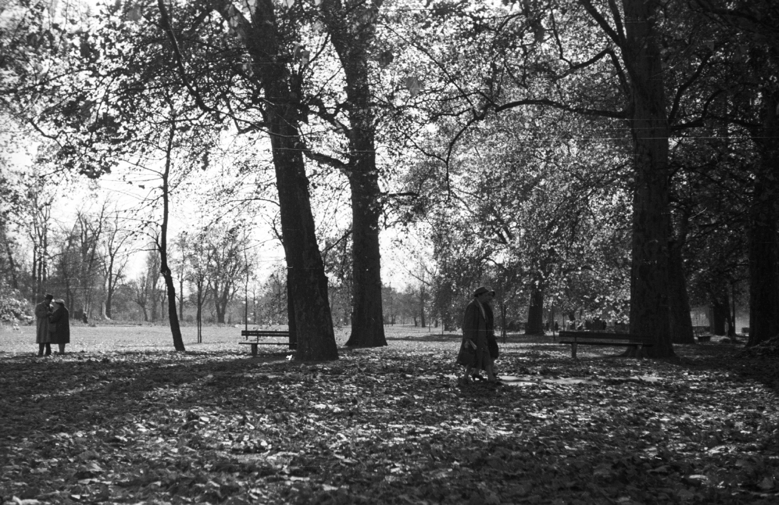 1963, MZSL/Ofner Károly, Fortepan #41857