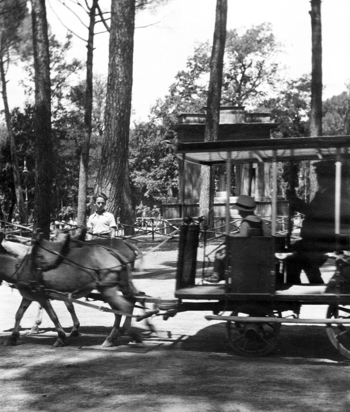 1933, MZSL/Ofner Károly, horse, boy, omnibus, Fortepan #42146