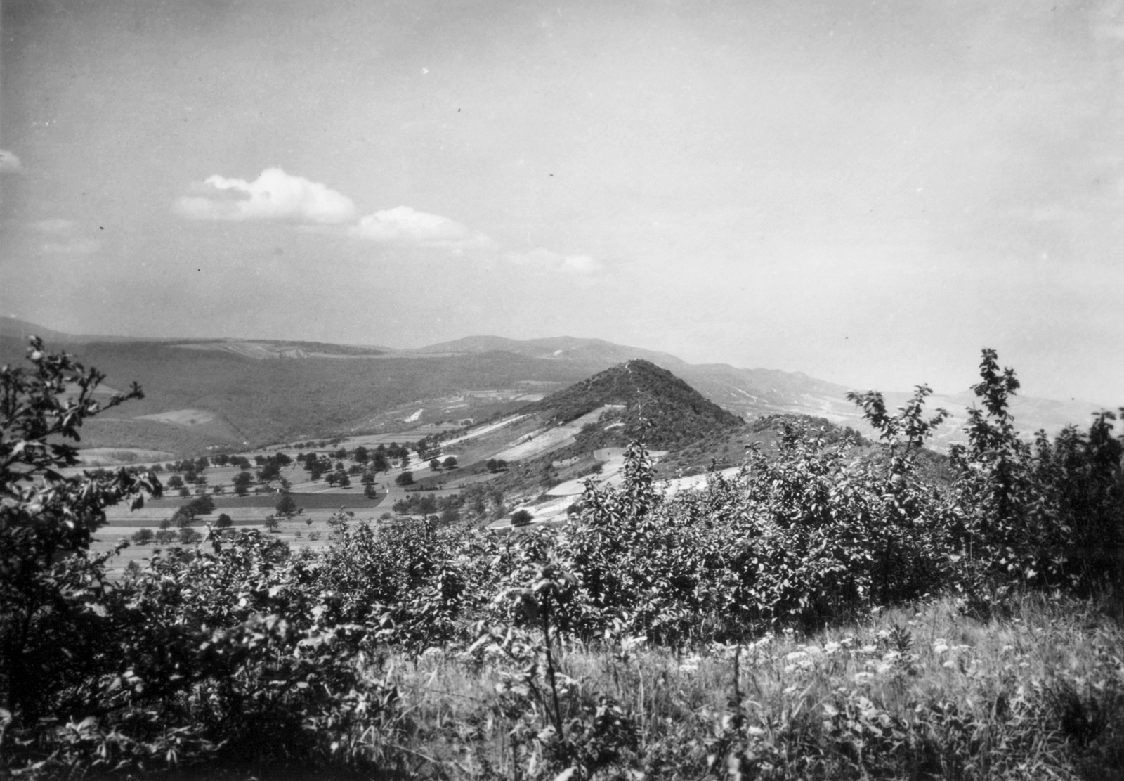 Magyarország, Budapest II., kilátás a Csúcs-hegy felől, előtérben balra a Pesthidegkúti-medence., 1935, MZSL/Ofner Károly, tájkép, Budapest, Fortepan #42401