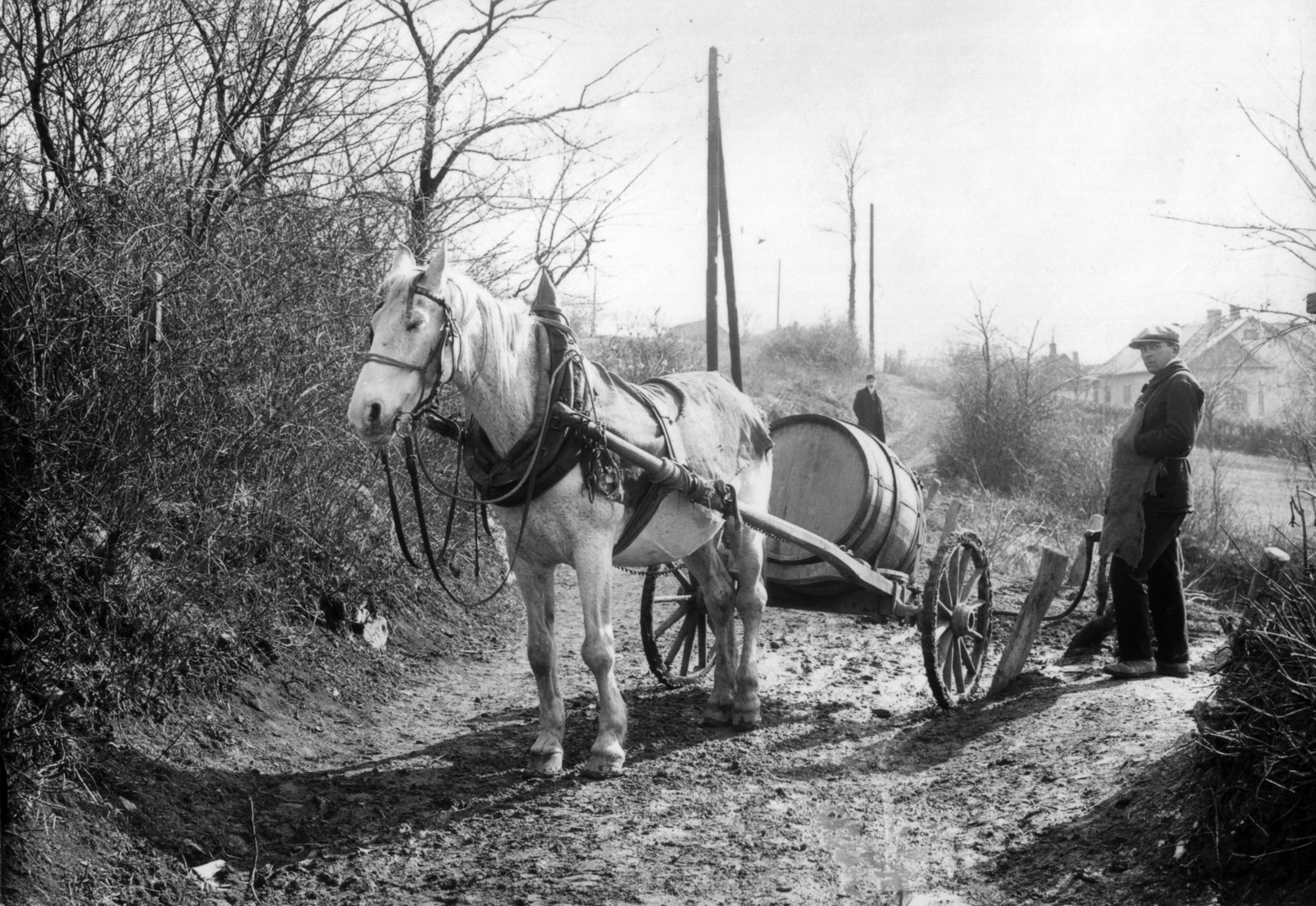1935, MZSL/Ofner Károly, village, winery, horse, men, dirt road, barrel, coach, cart, Fortepan #42406